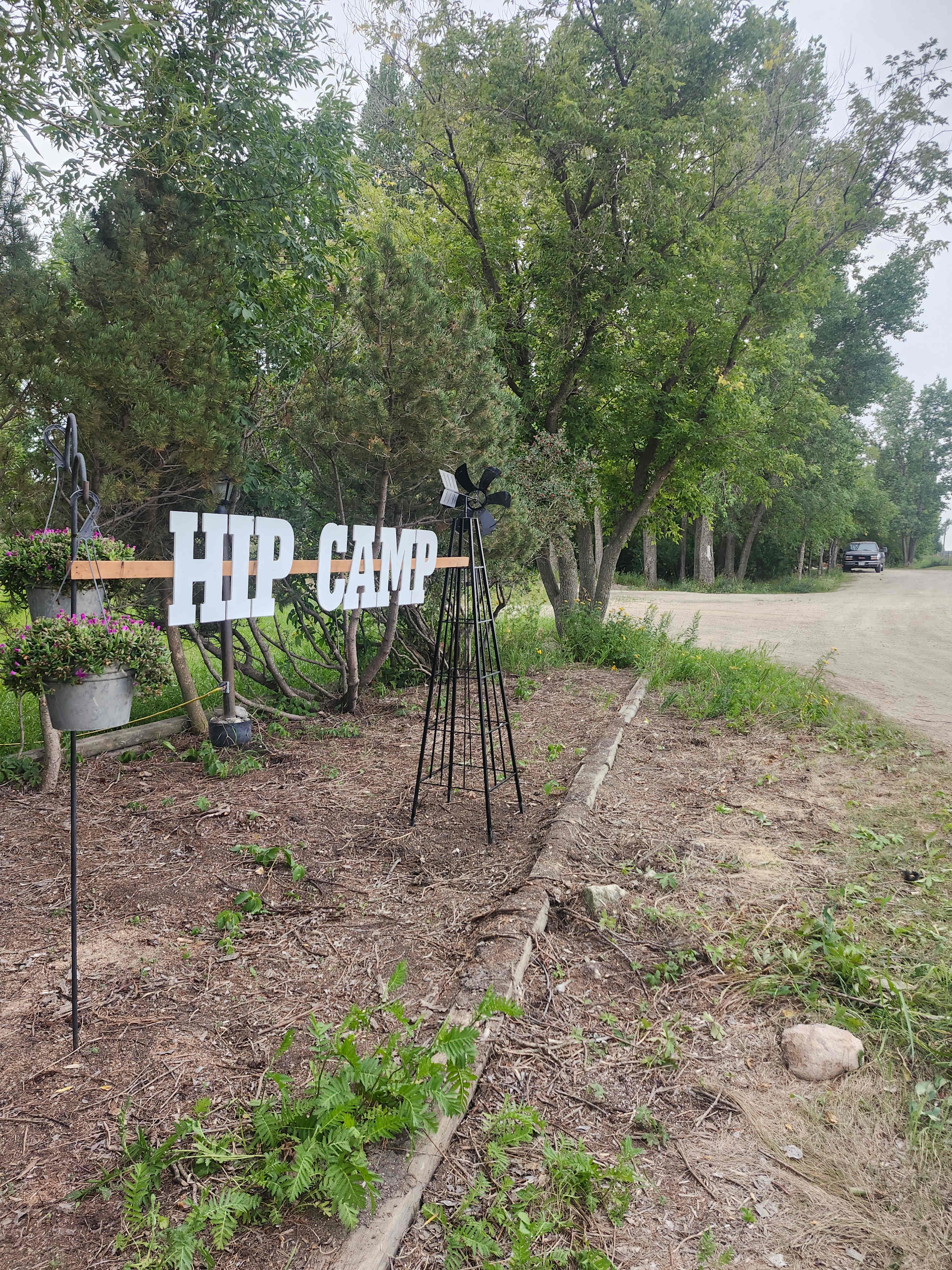 Picture of the site