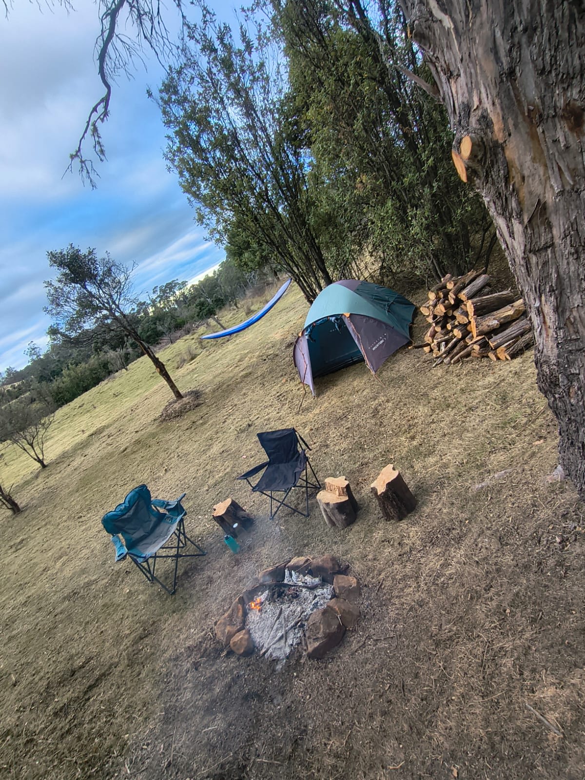Picture of the site
