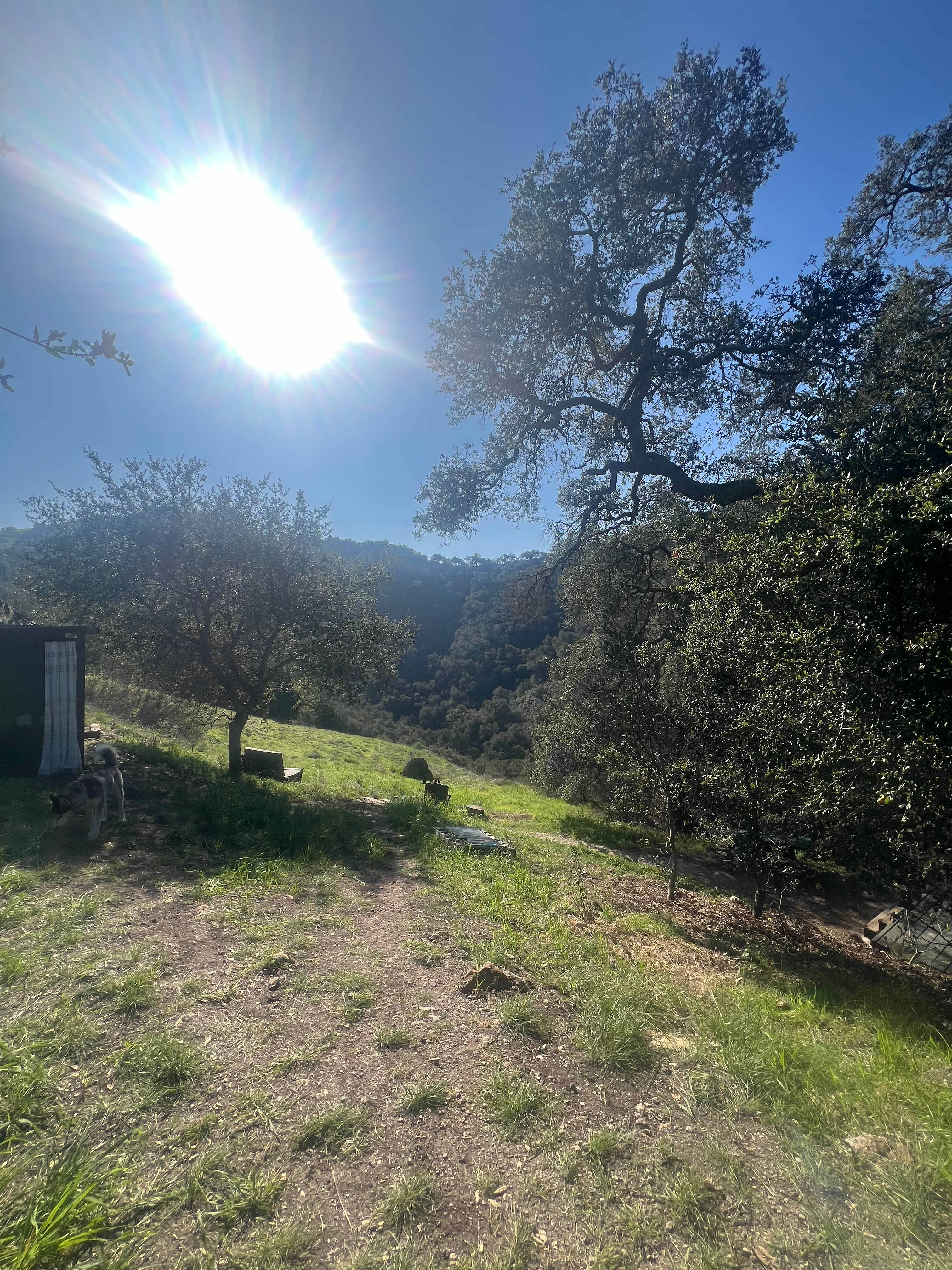 Picture of the site