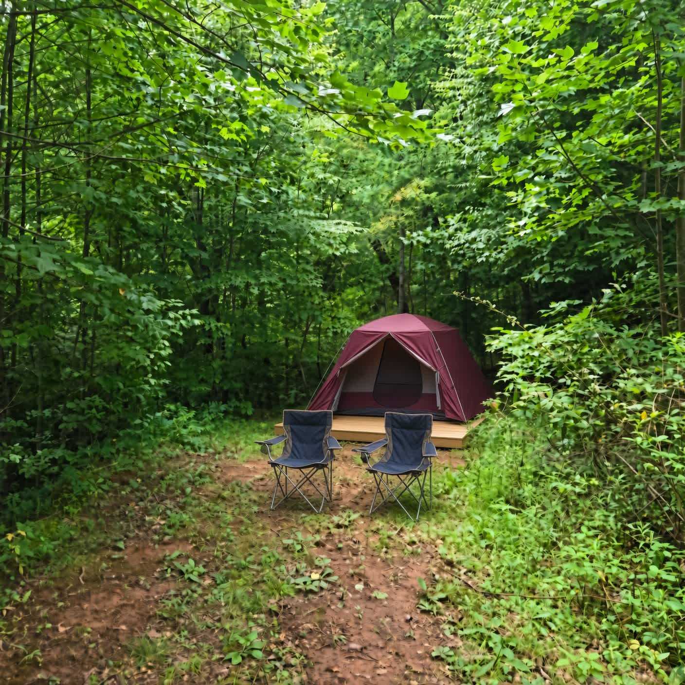 Picture of the site