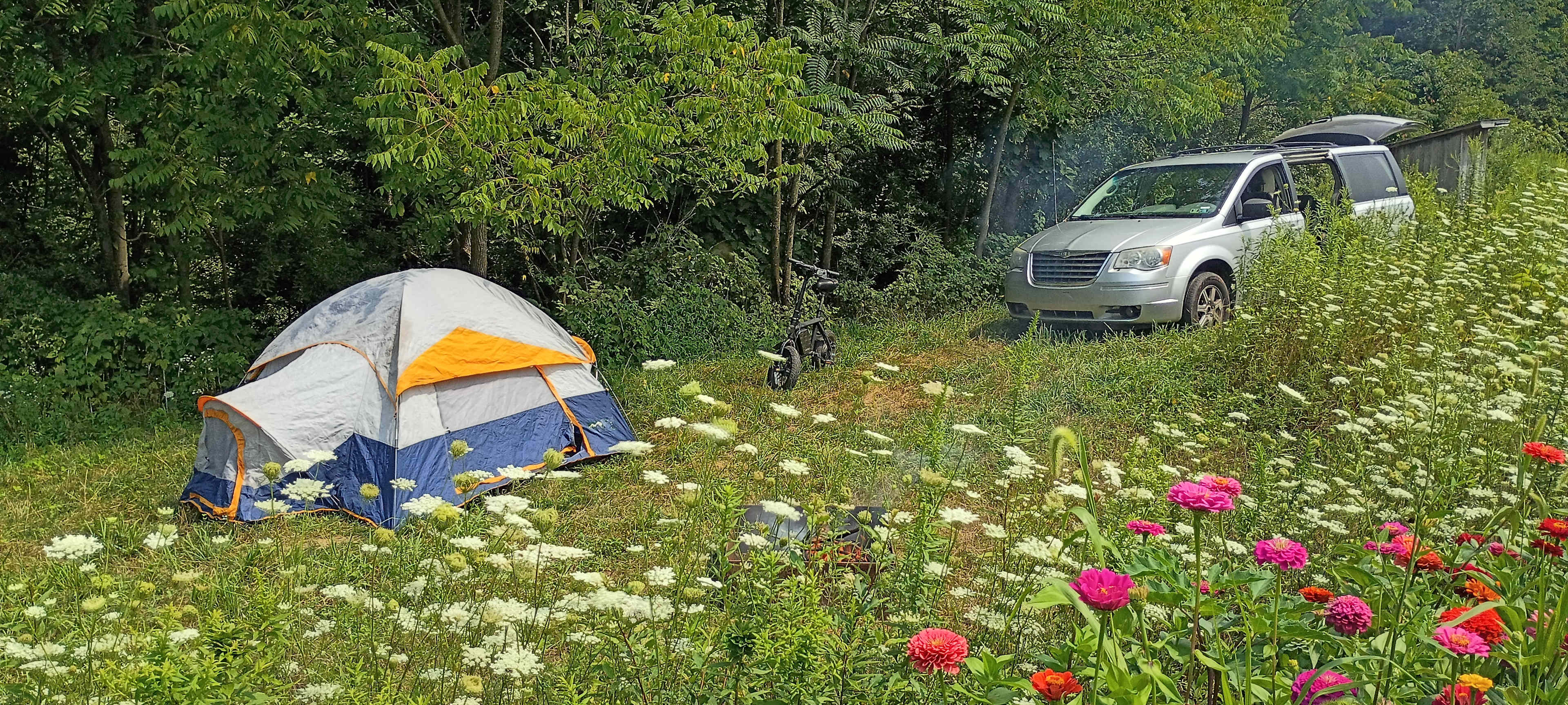 Picture of the site