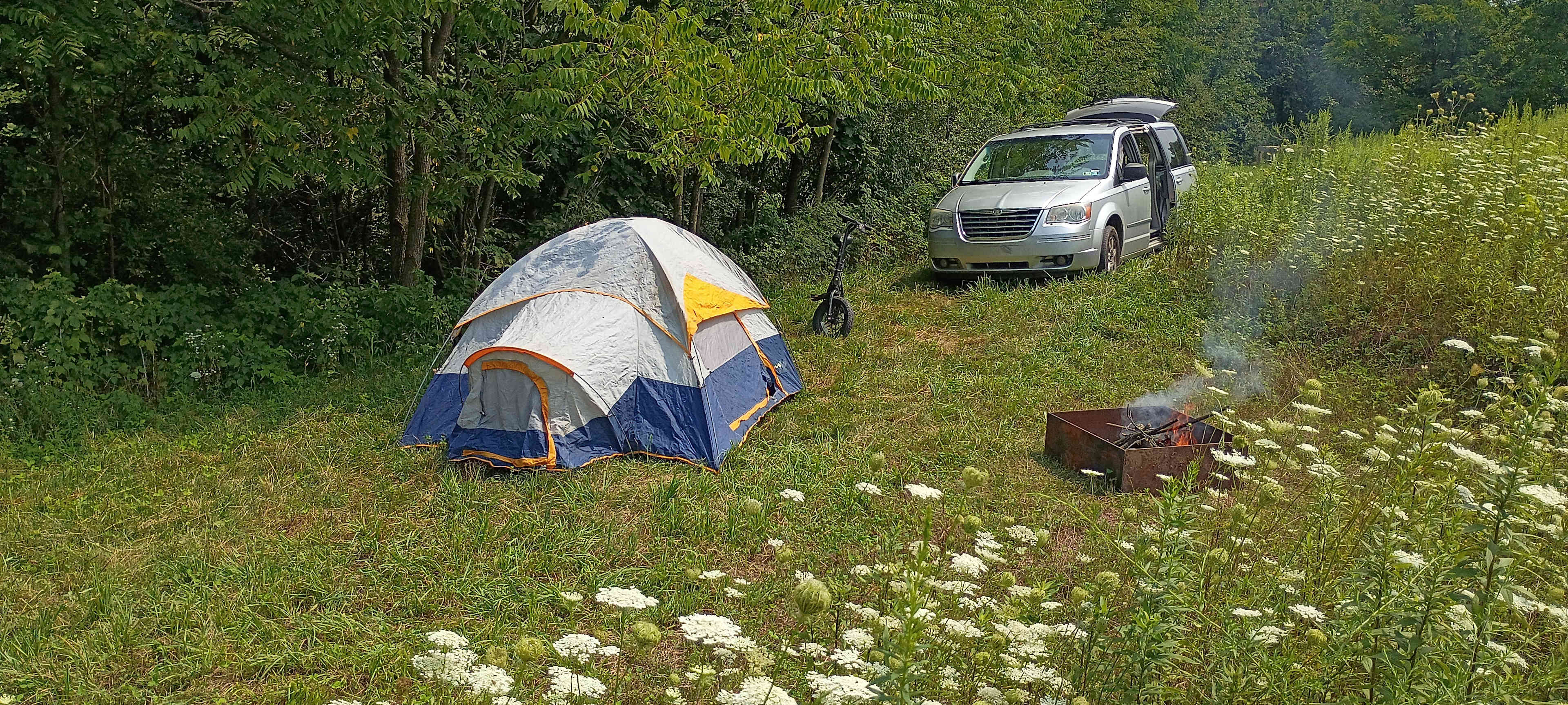 Picture of the site