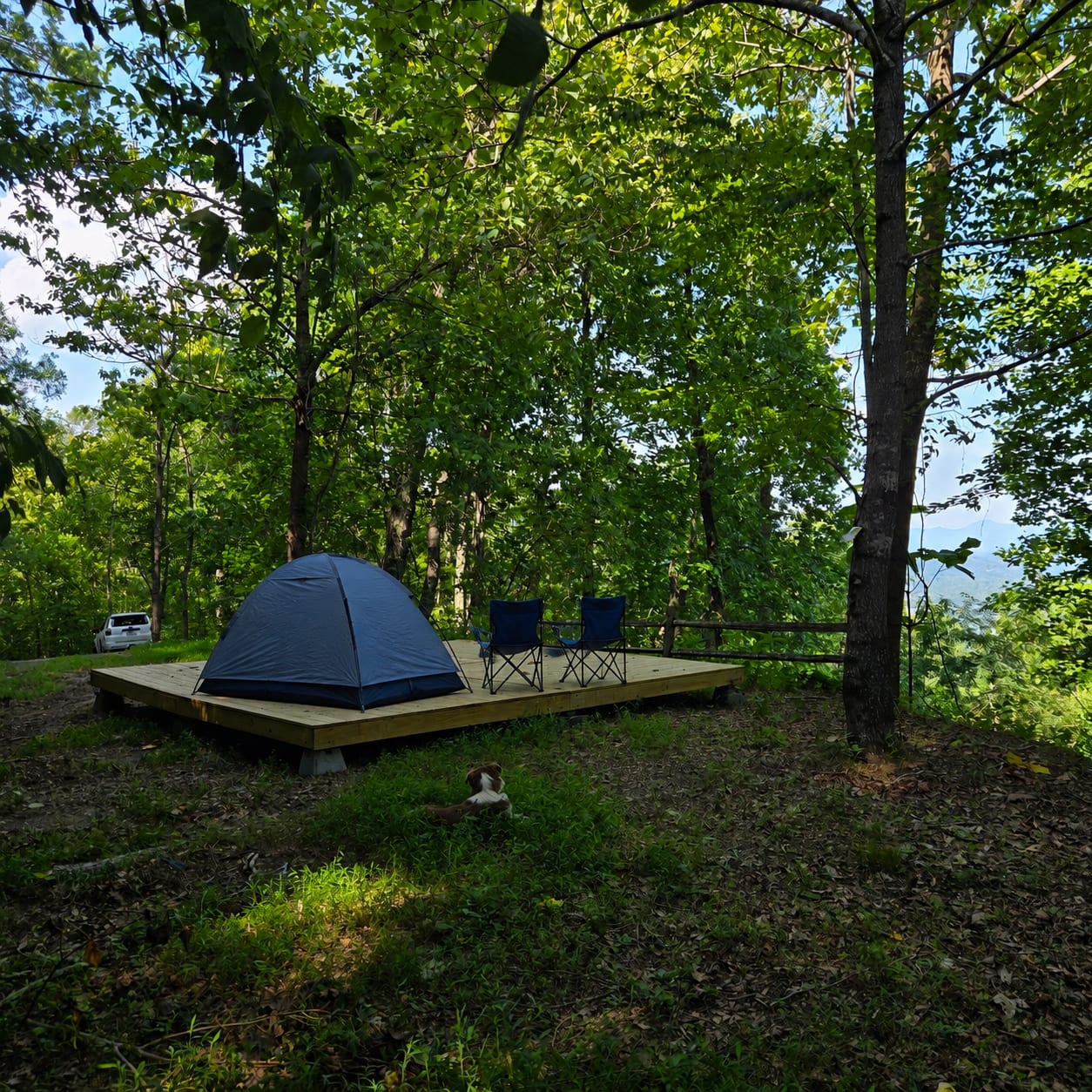 Picture of the site