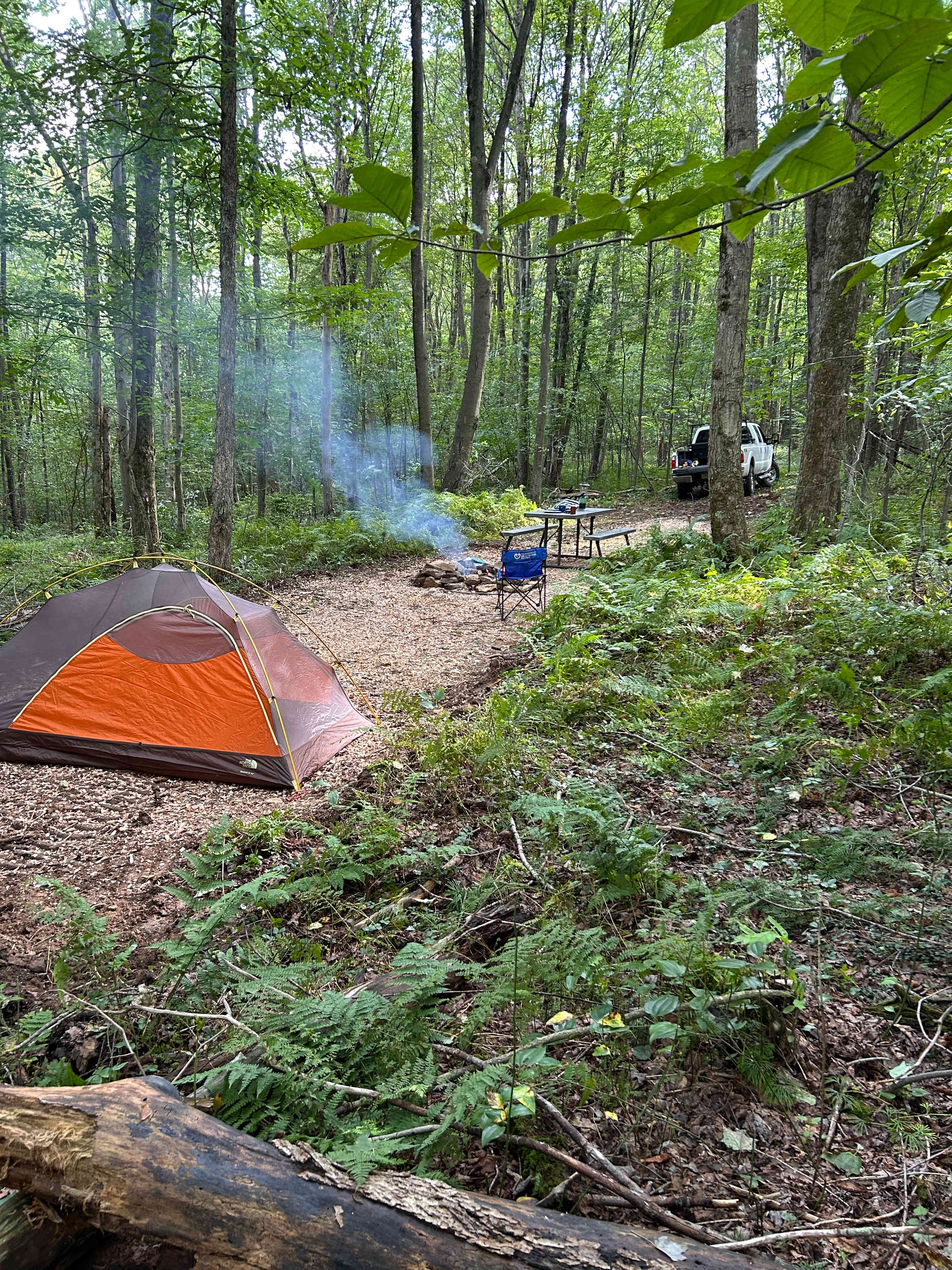 Picture of the site