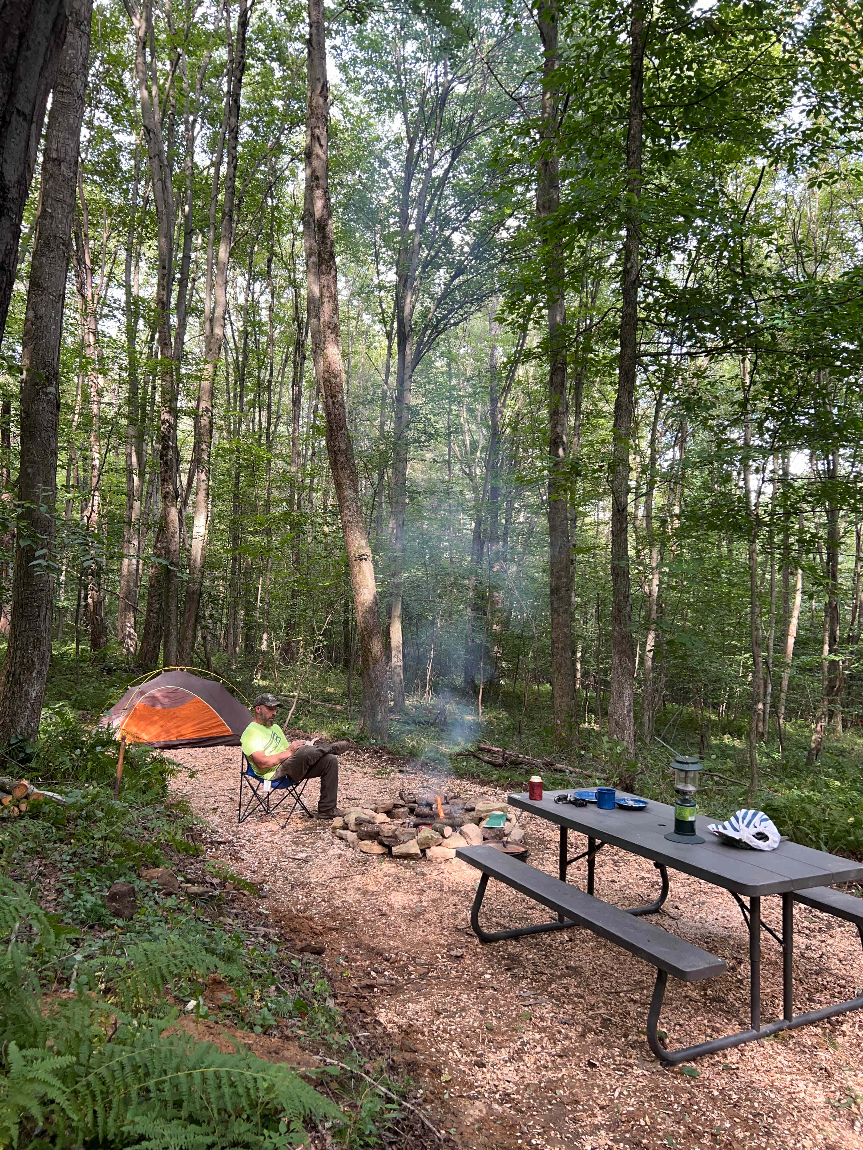 Picture of the site