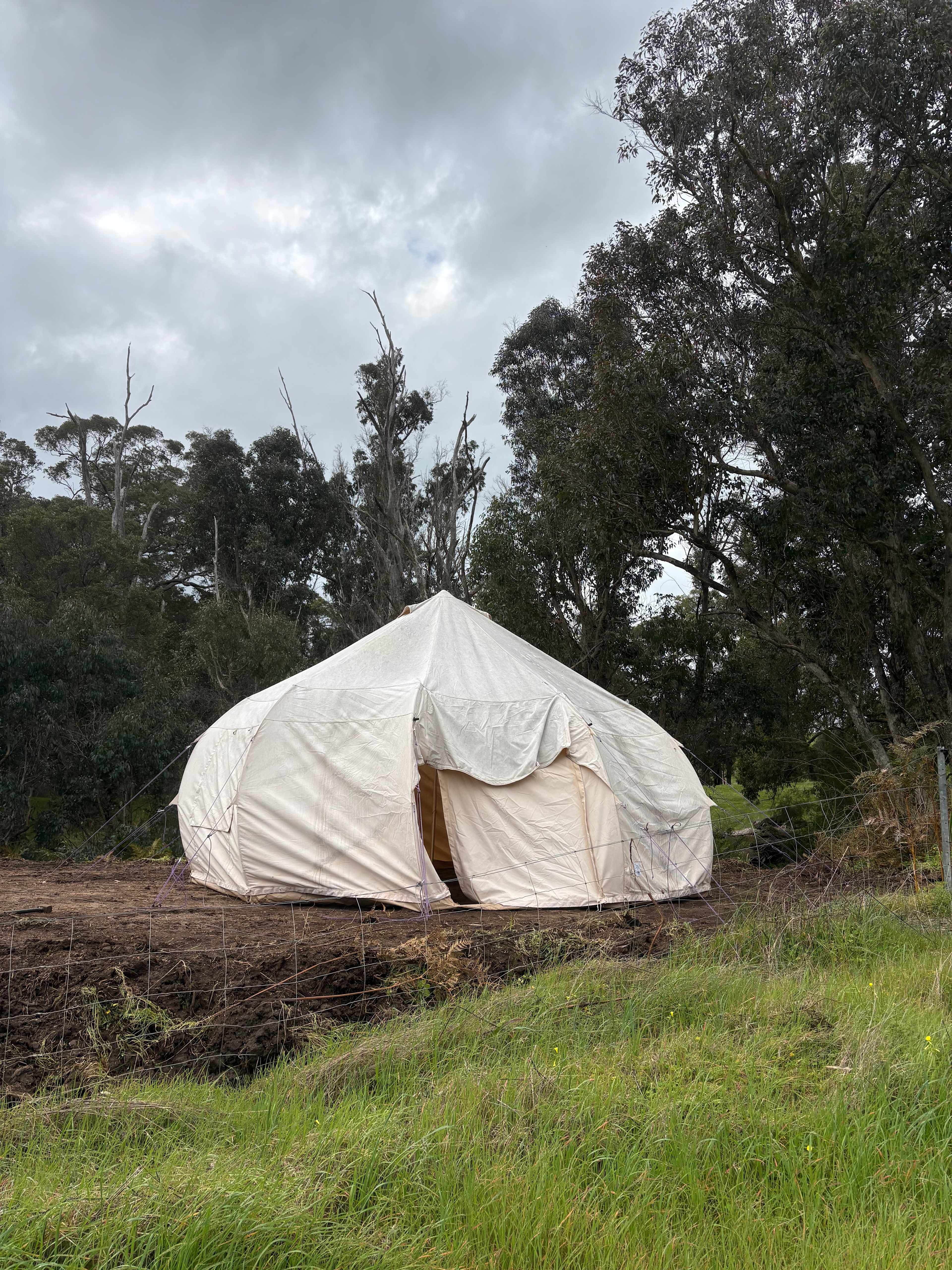 Picture of the site