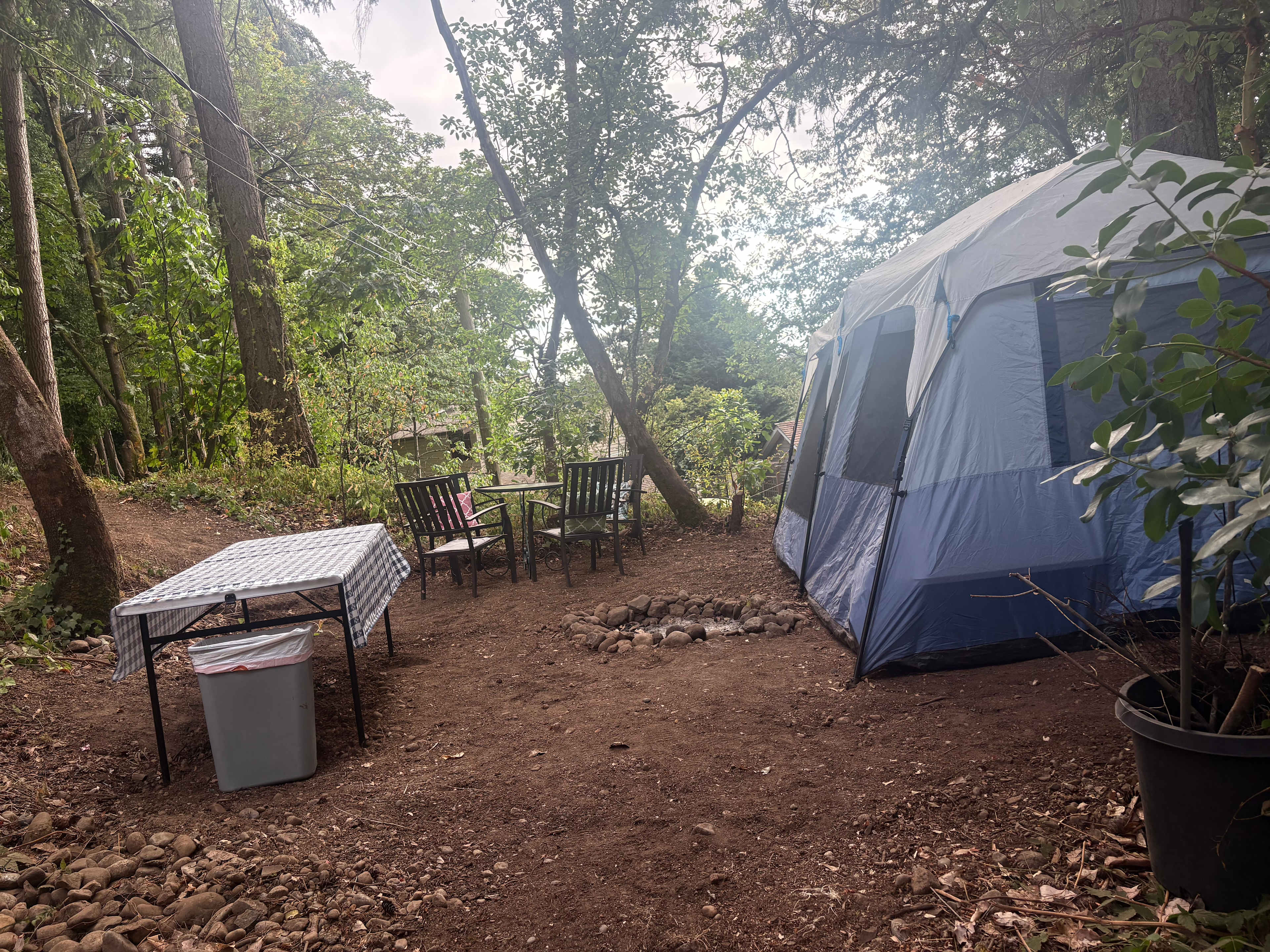 Picture of the site