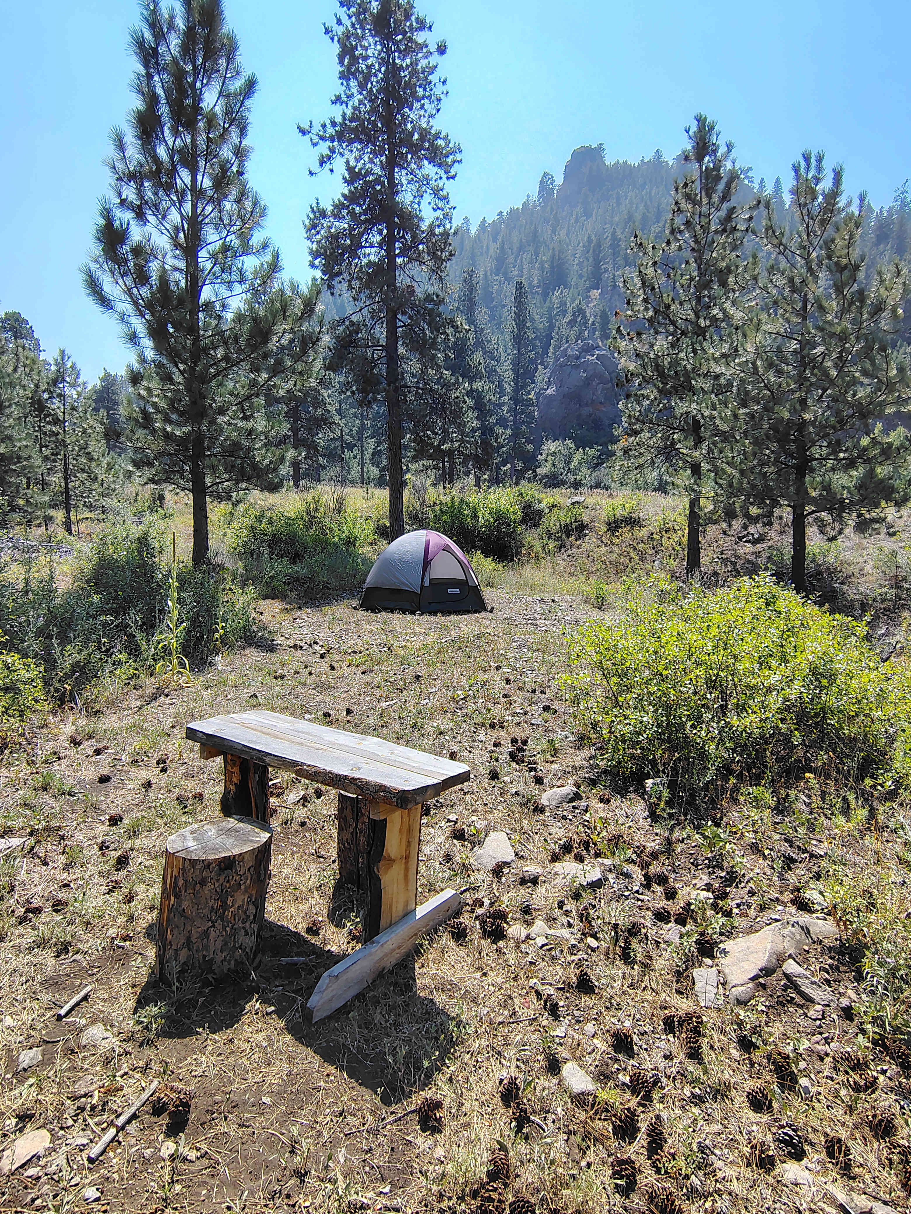 Picture of the site
