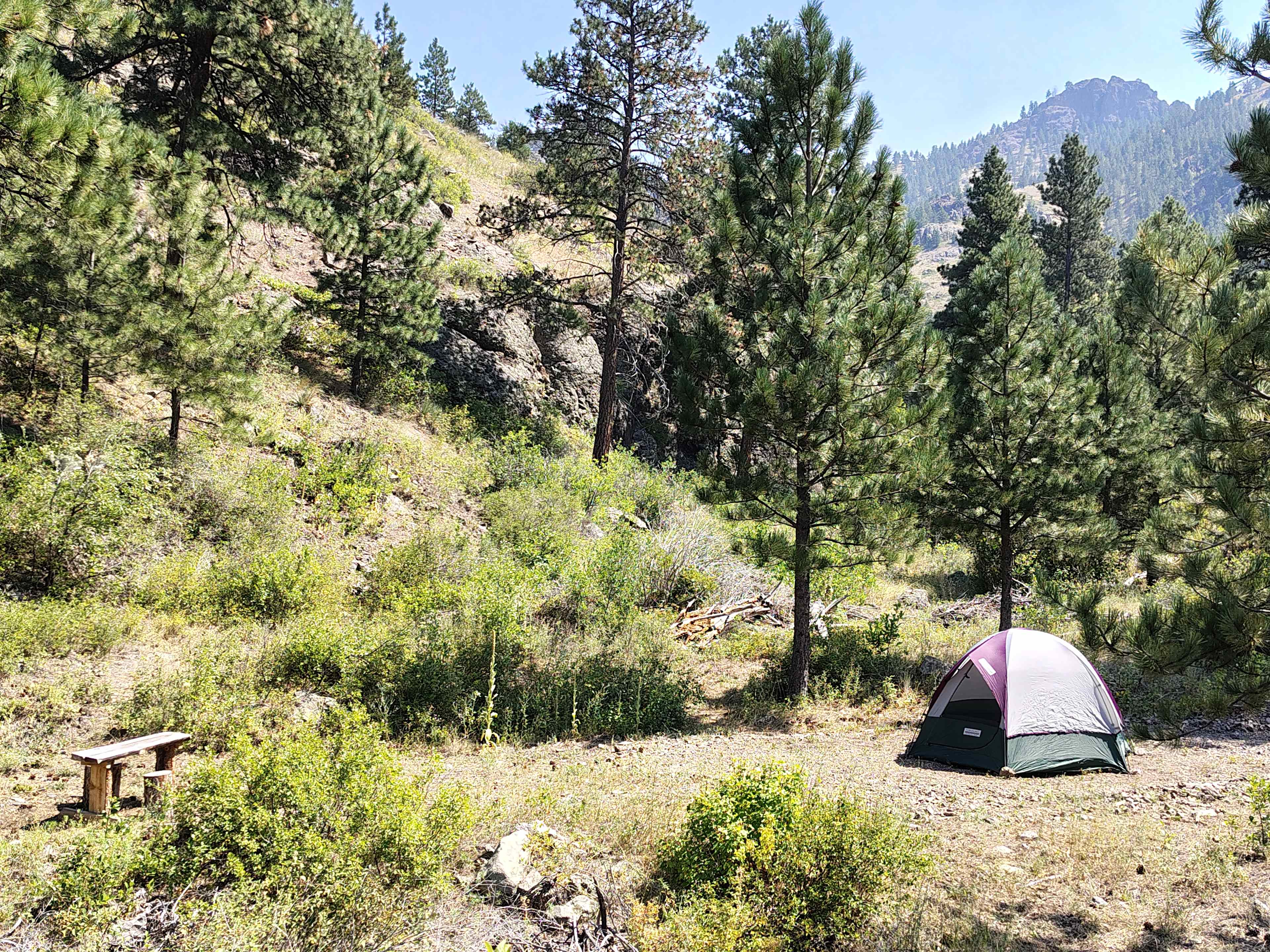 Picture of the site