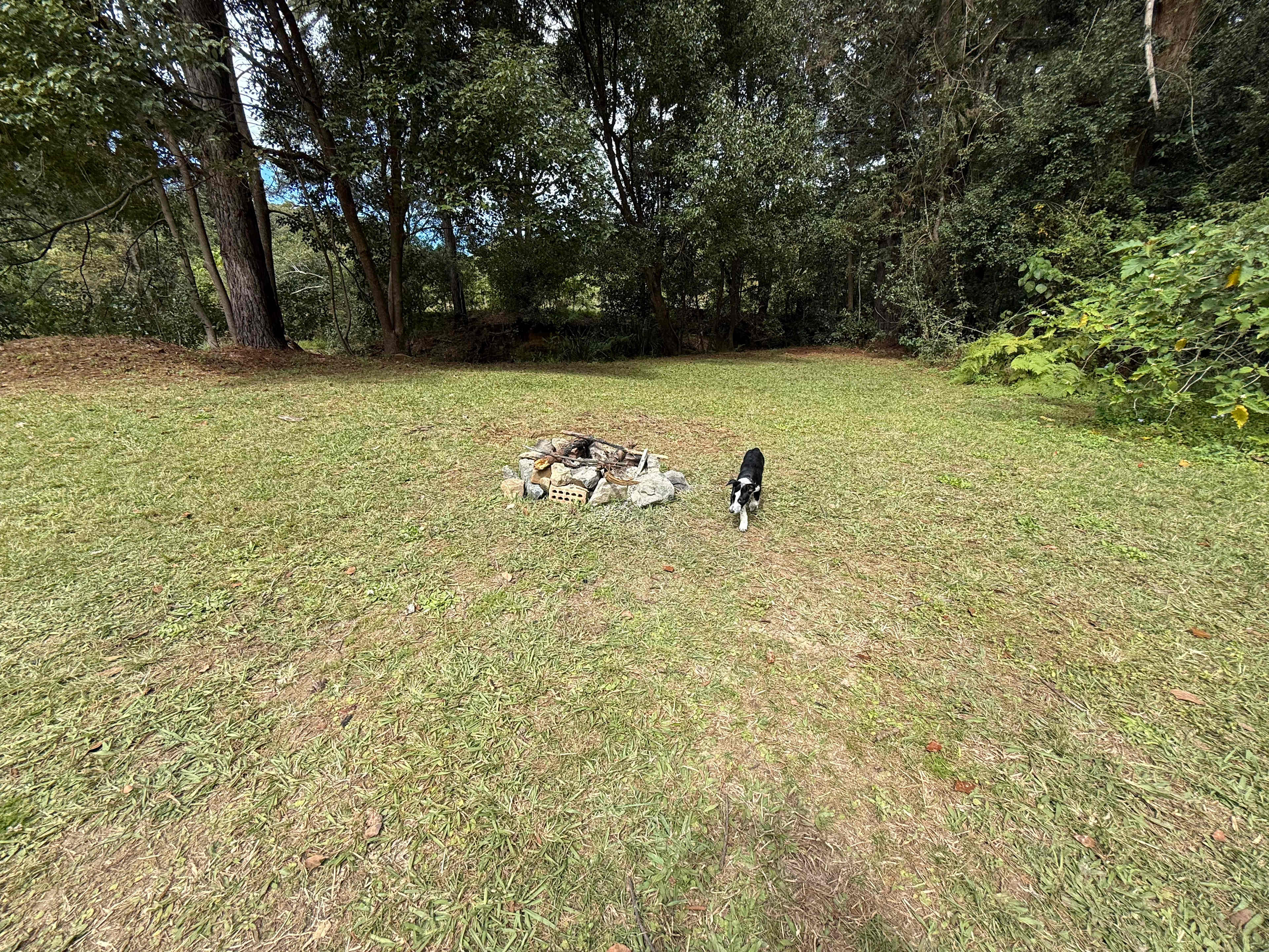Picture of the site