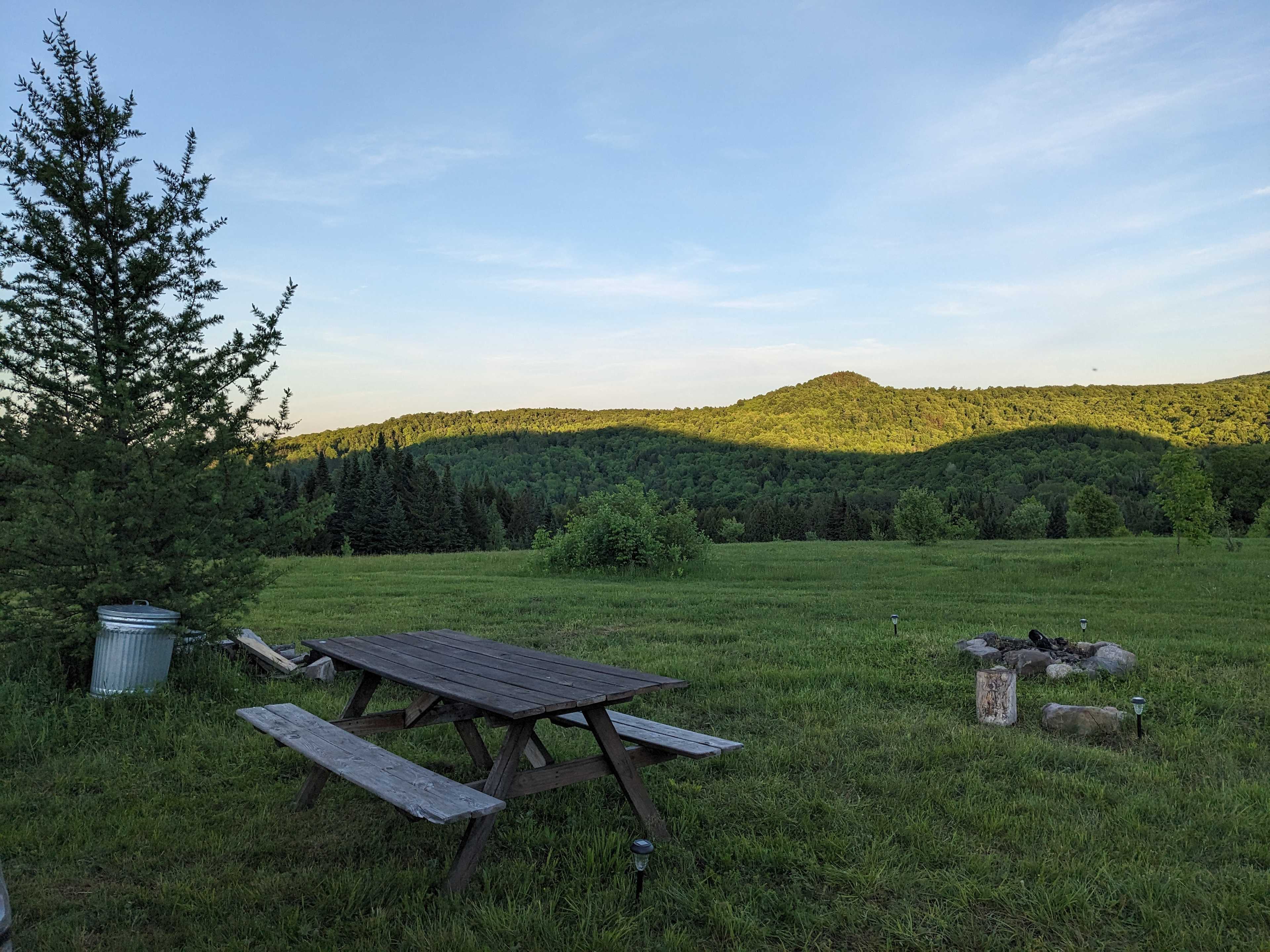 Picture of the site