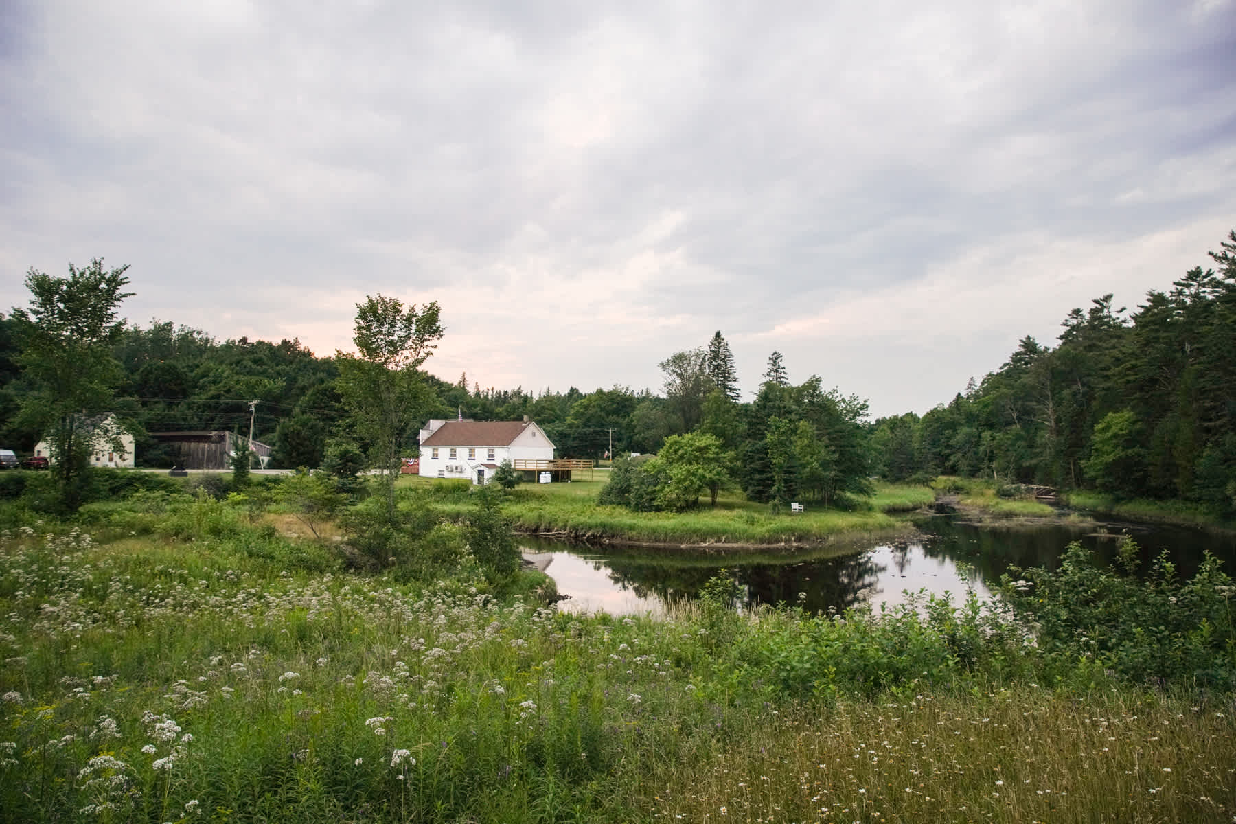 Picture of the site