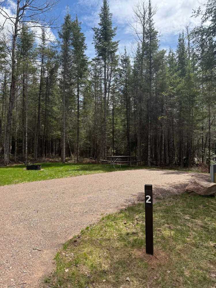 Picture of the site