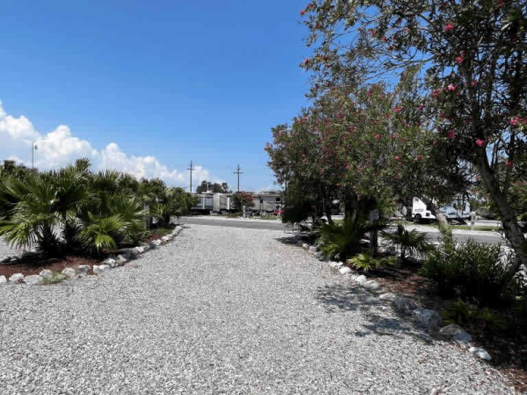 Picture of the site
