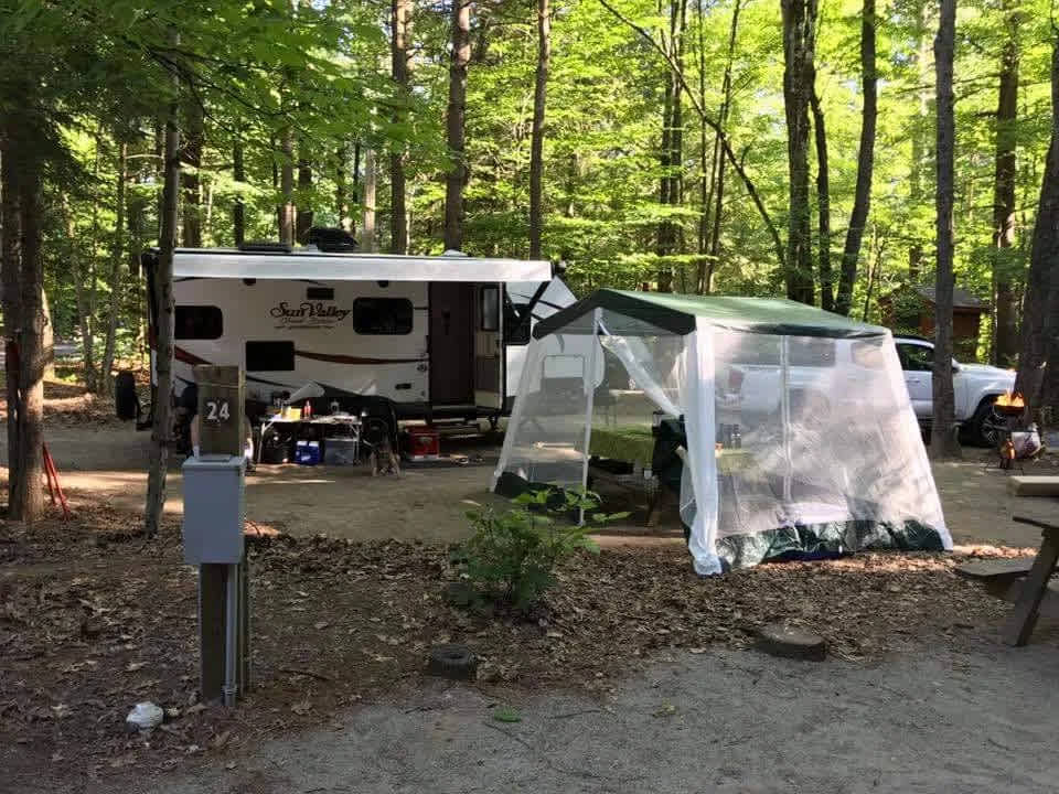 Picture of the site
