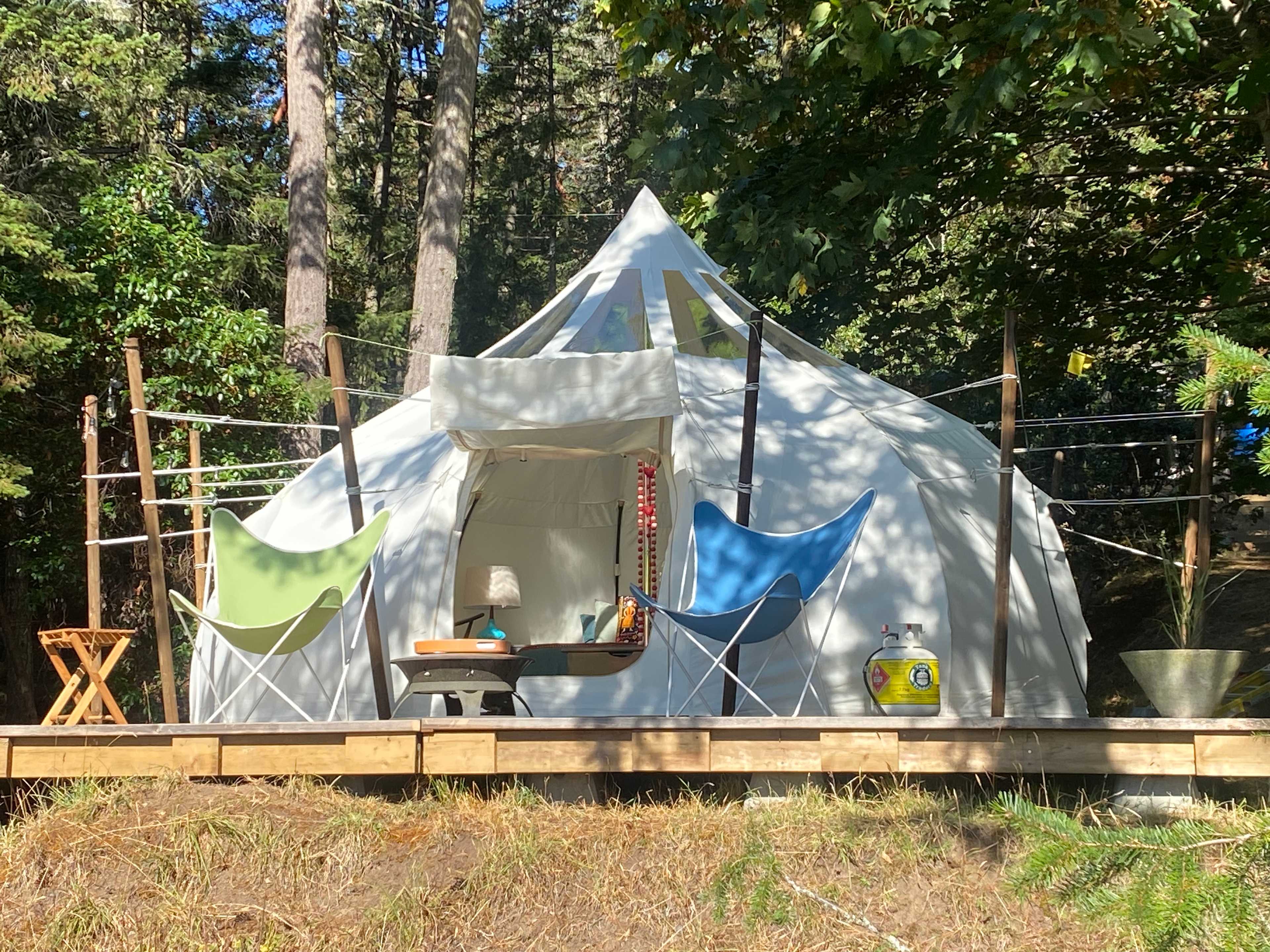 Picture of the site
