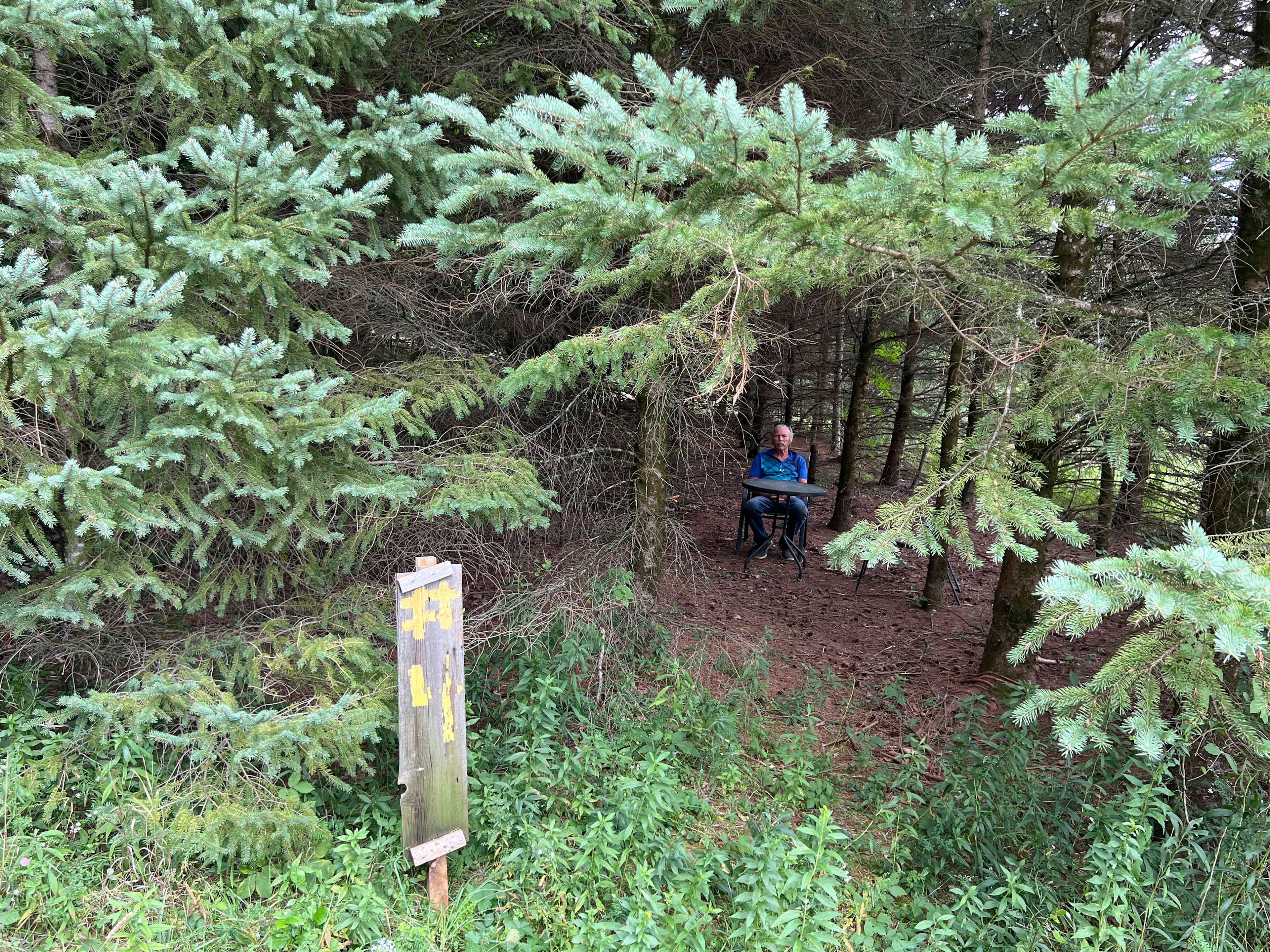 Picture of the site