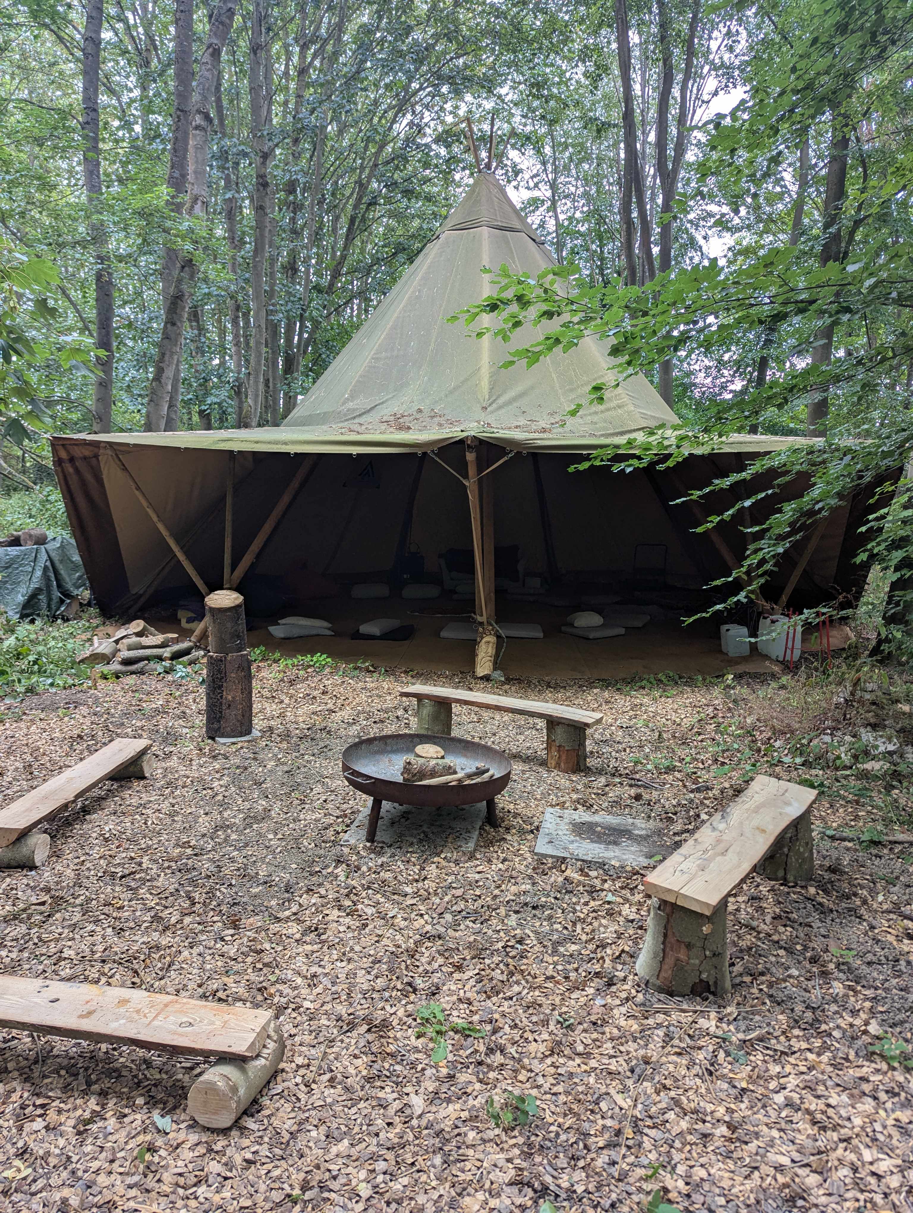 Picture of the site