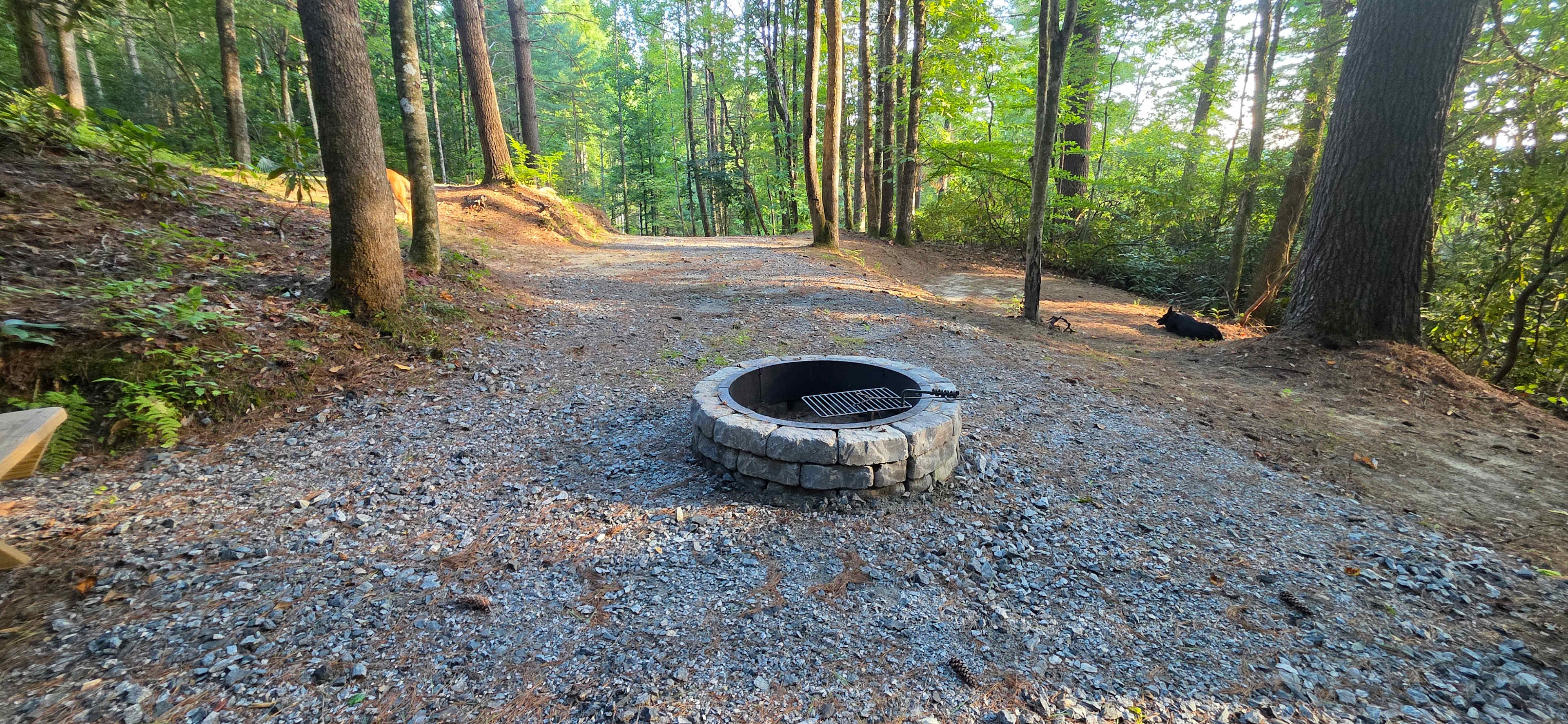 Picture of the site