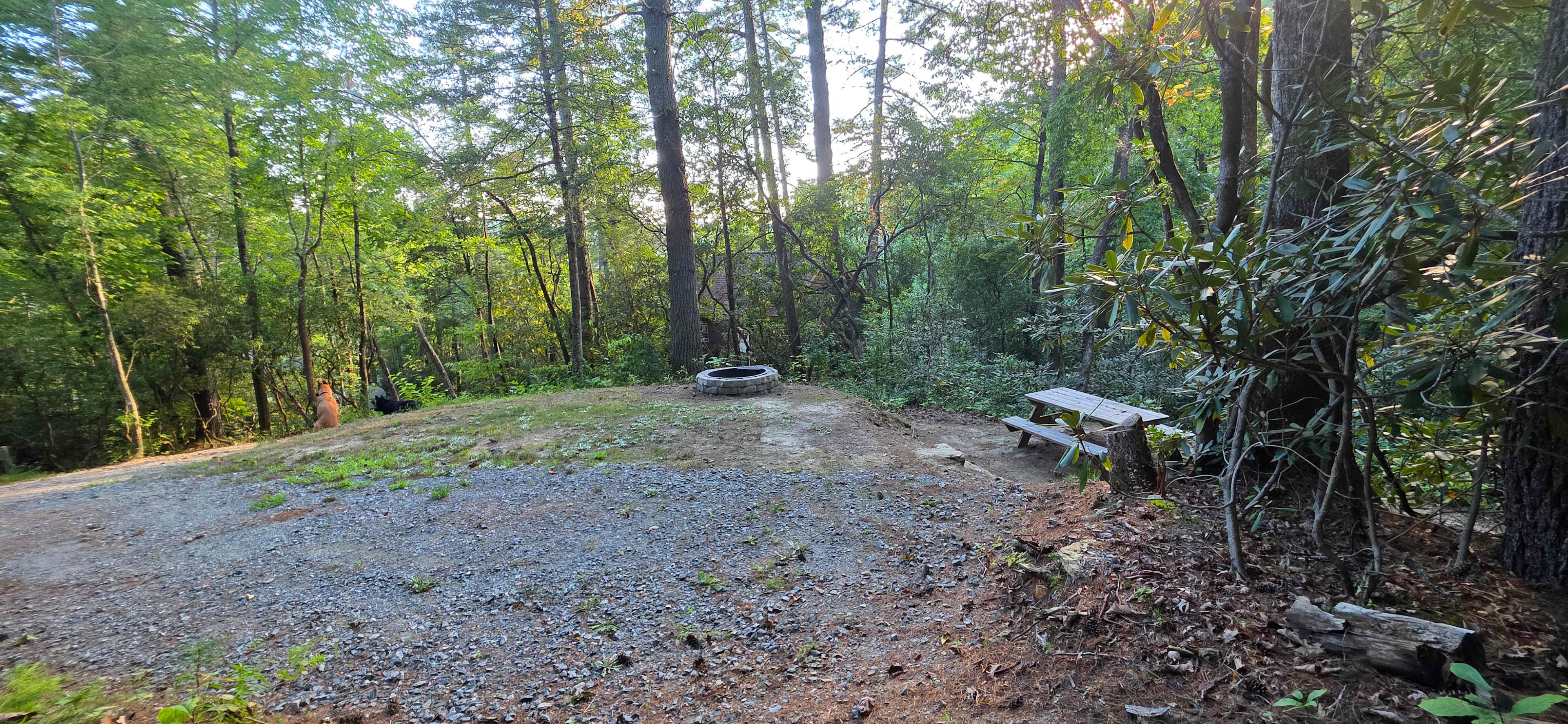 Picture of the site