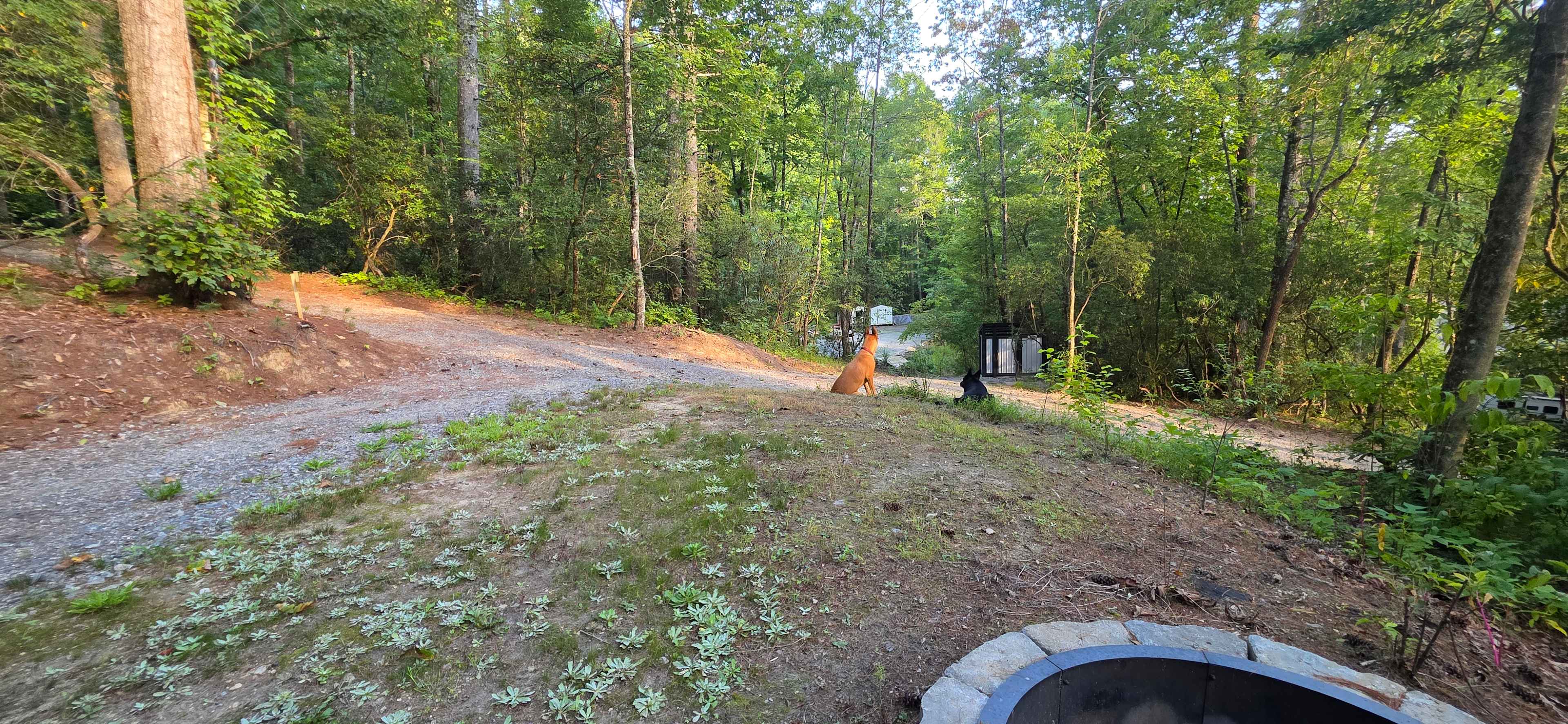 Picture of the site