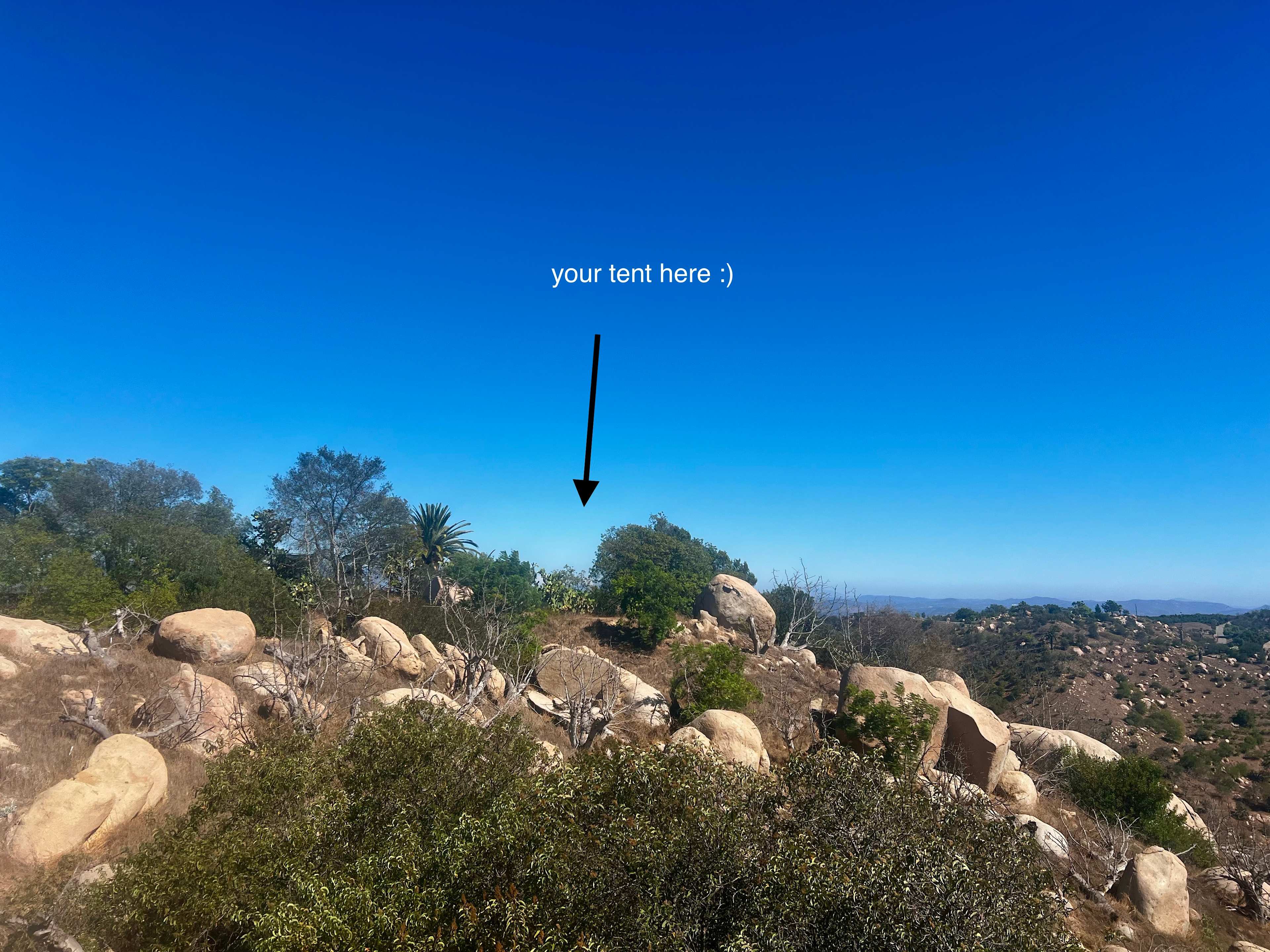 Picture of the site