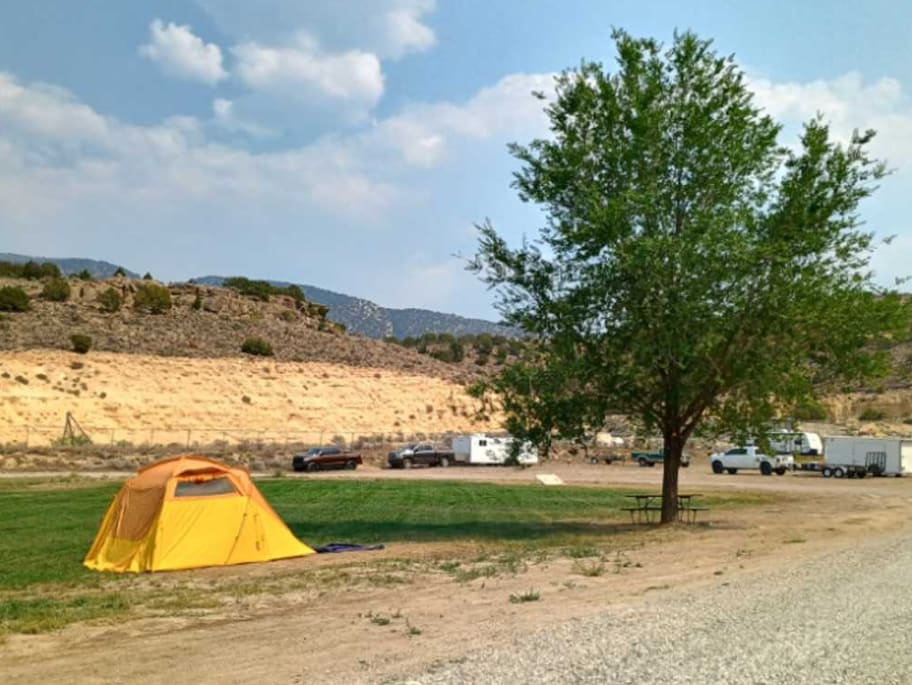 Picture of the site