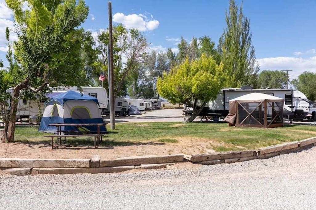 Picture of the site