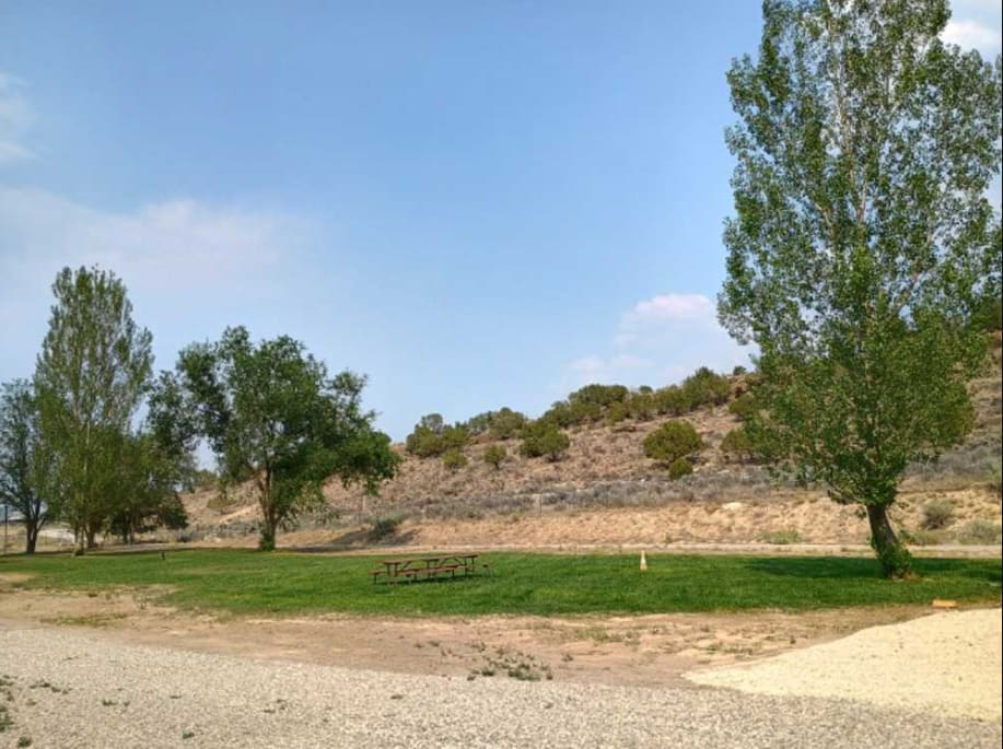 Picture of the site