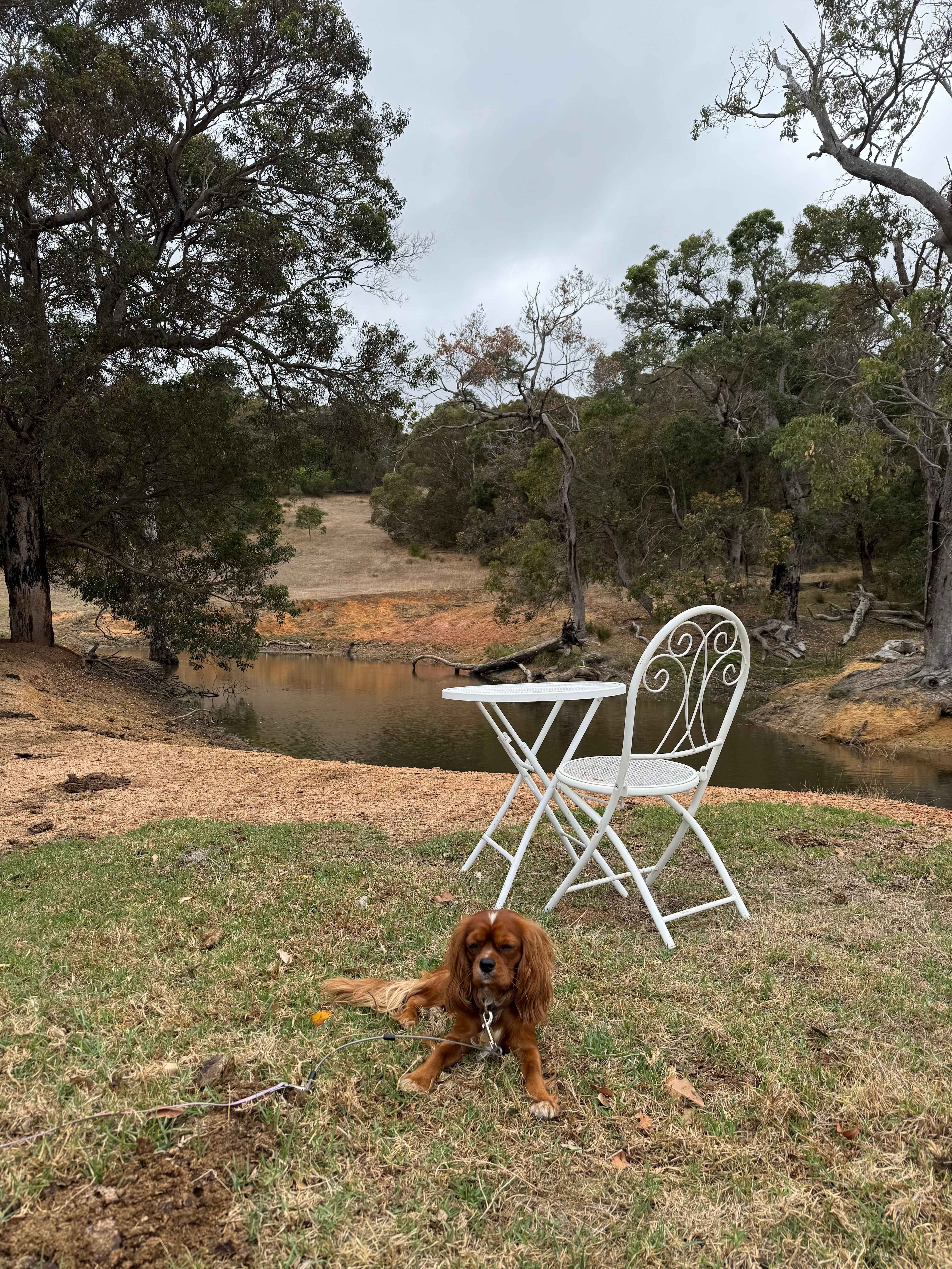 Picture of the site