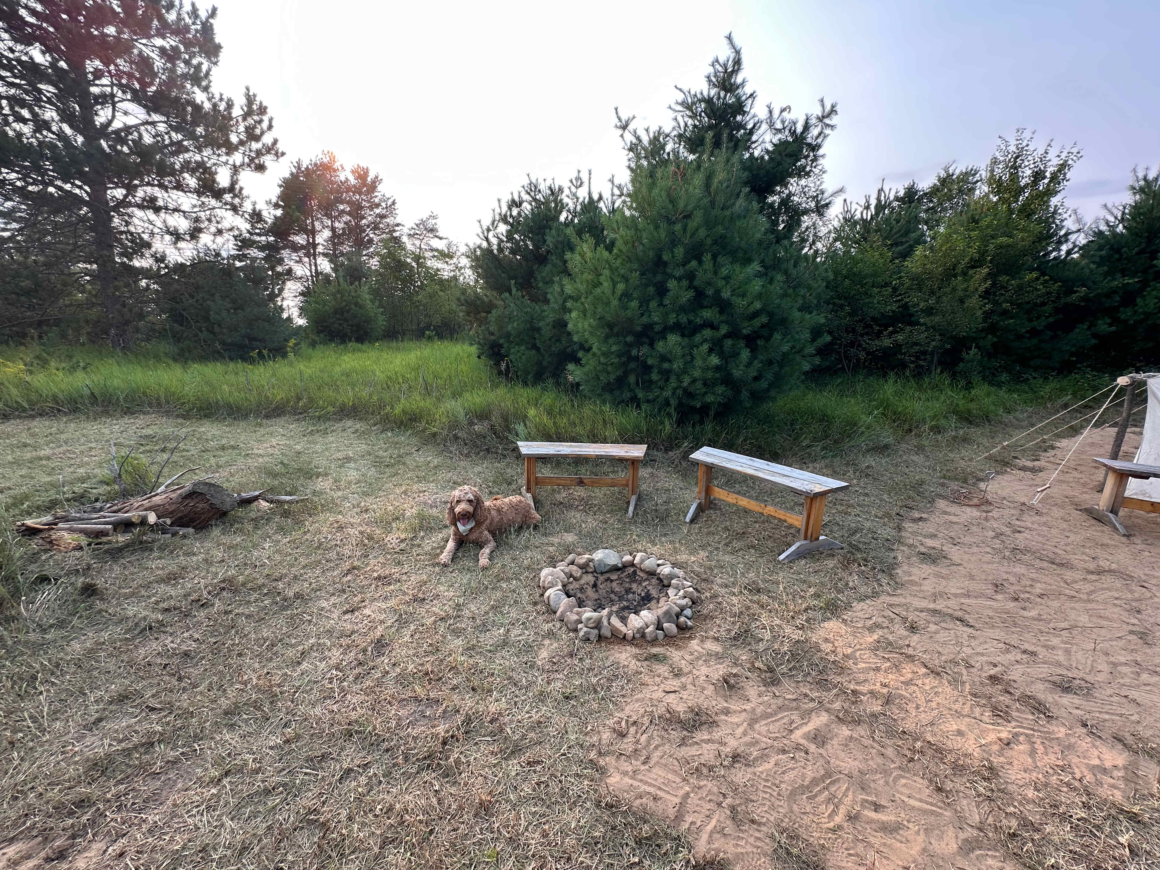 Picture of the site