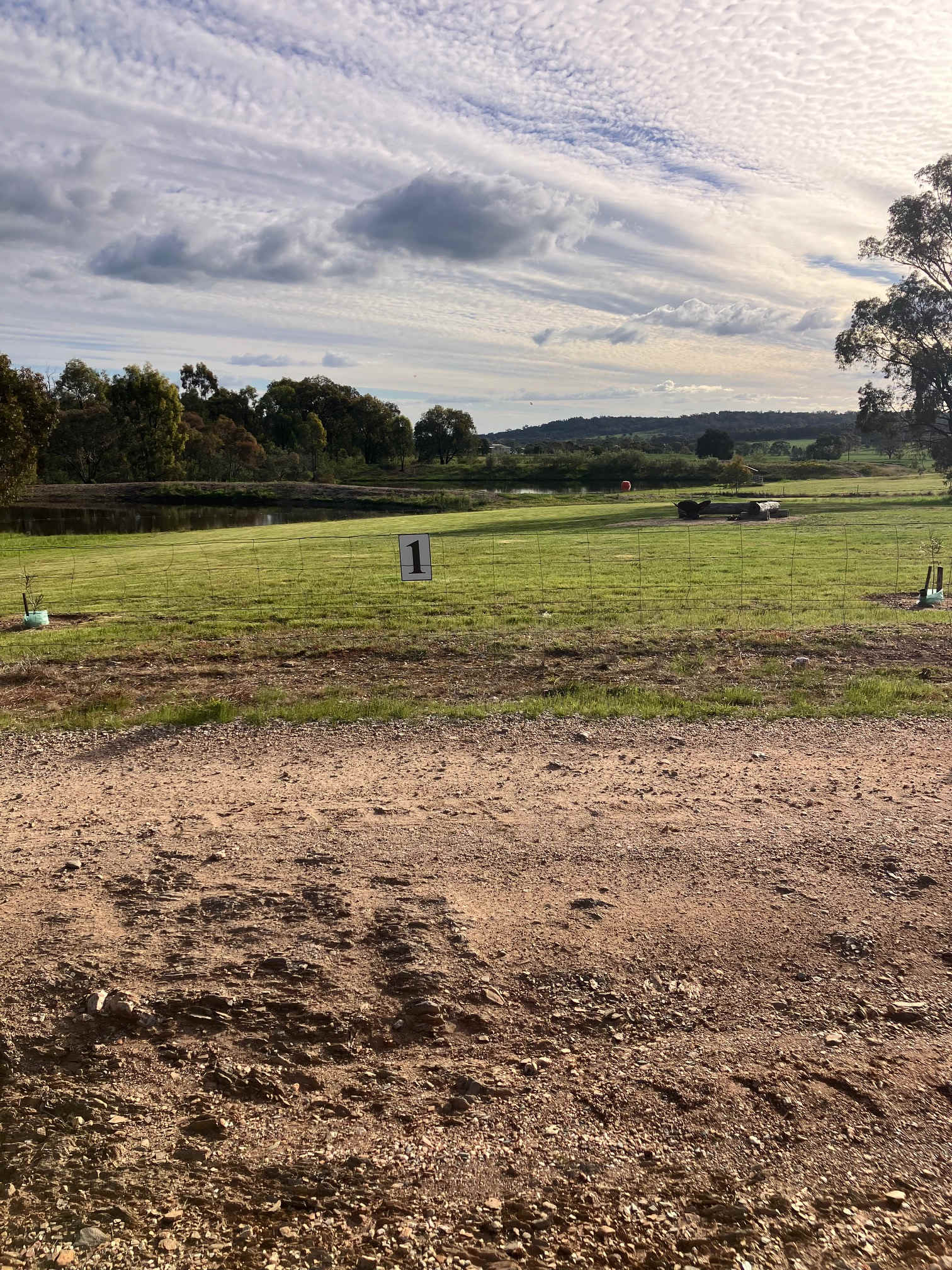 Picture of the site