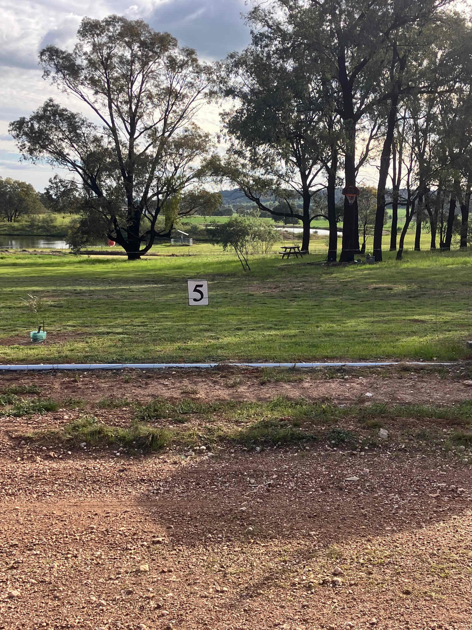 Picture of the site