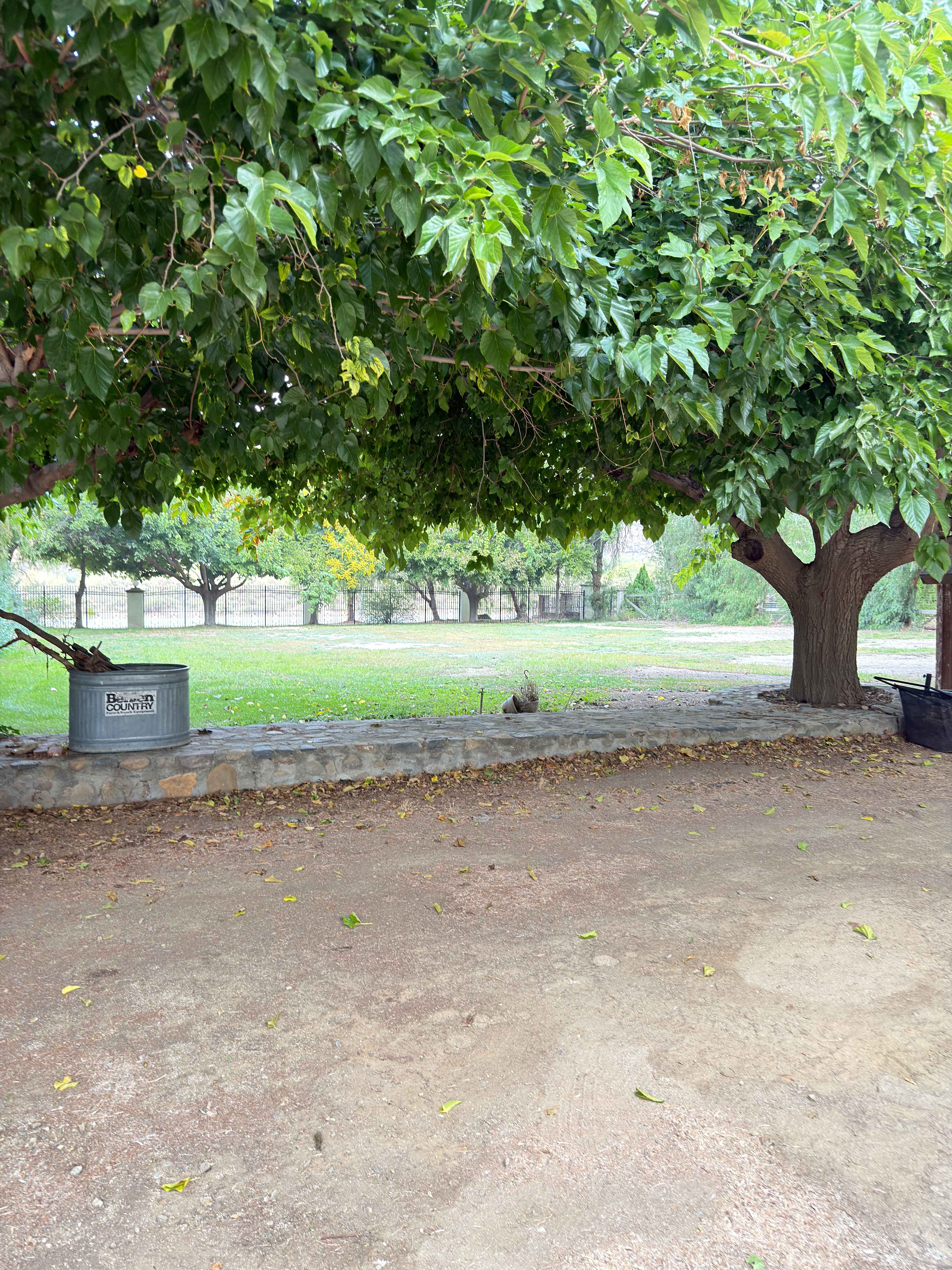 Picture of the site