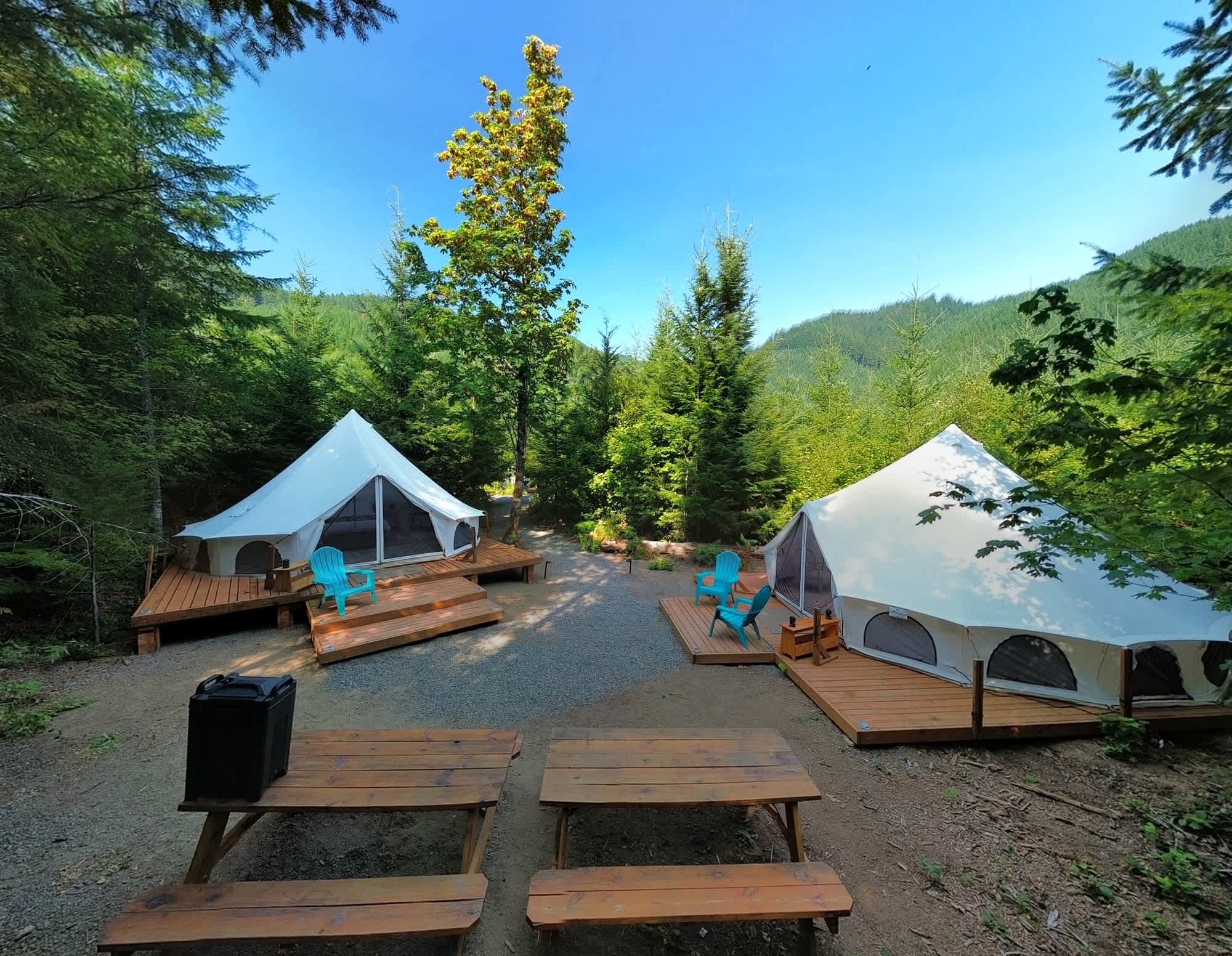 Picture of the site