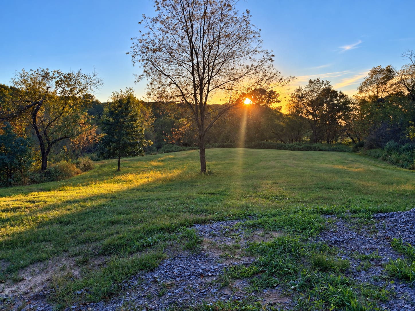 Picture of the site