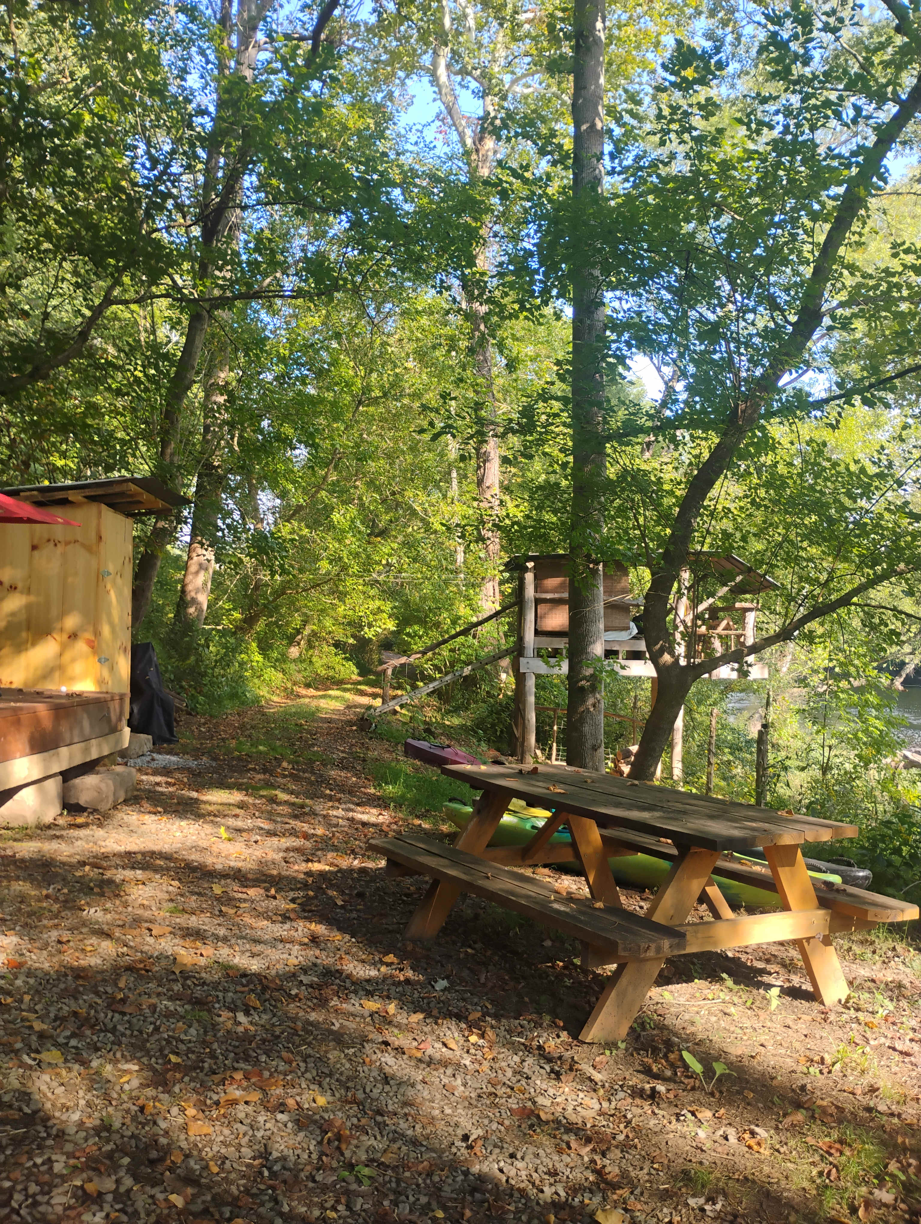 Picture of the site
