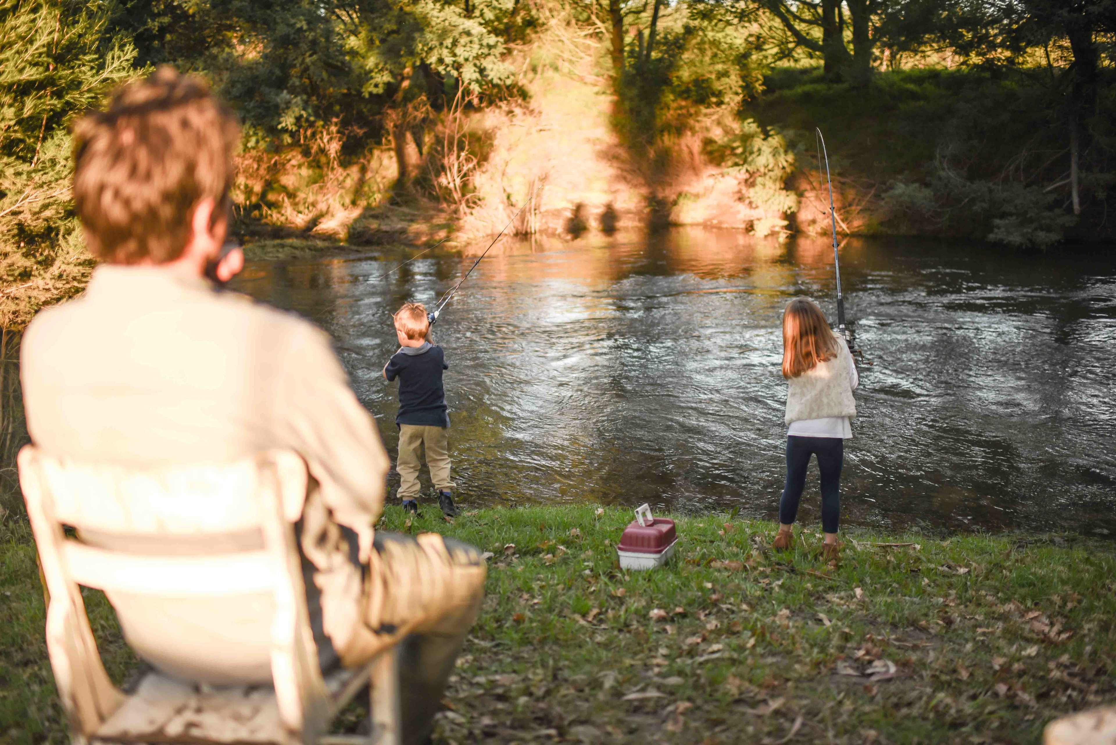 Fish in the river