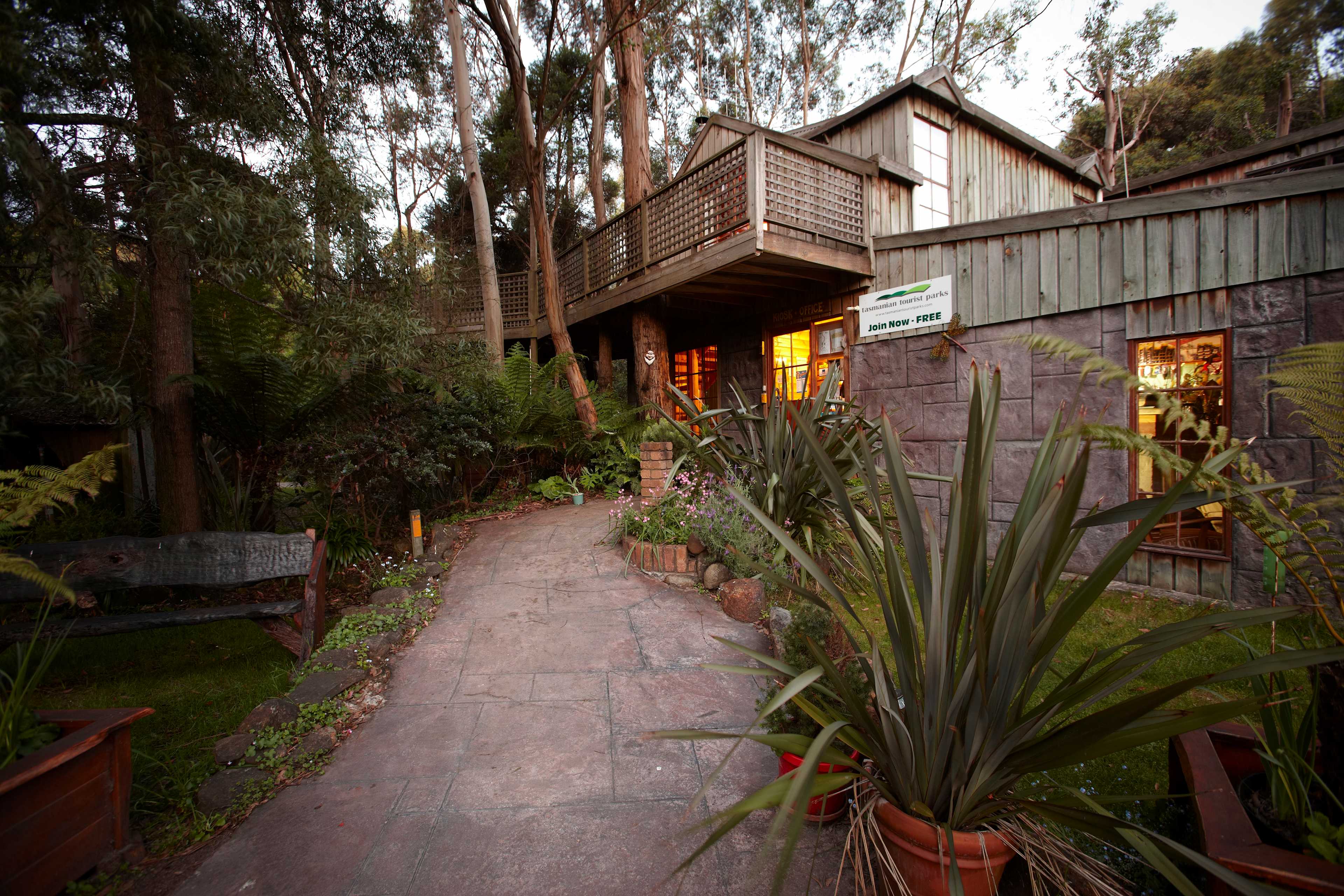 Picture of the site