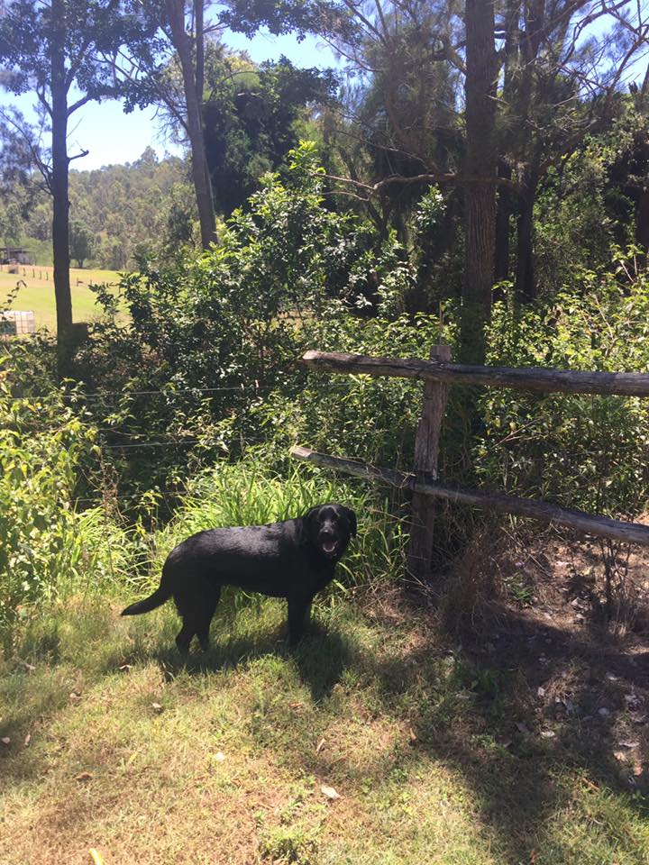 Swan Gully Park