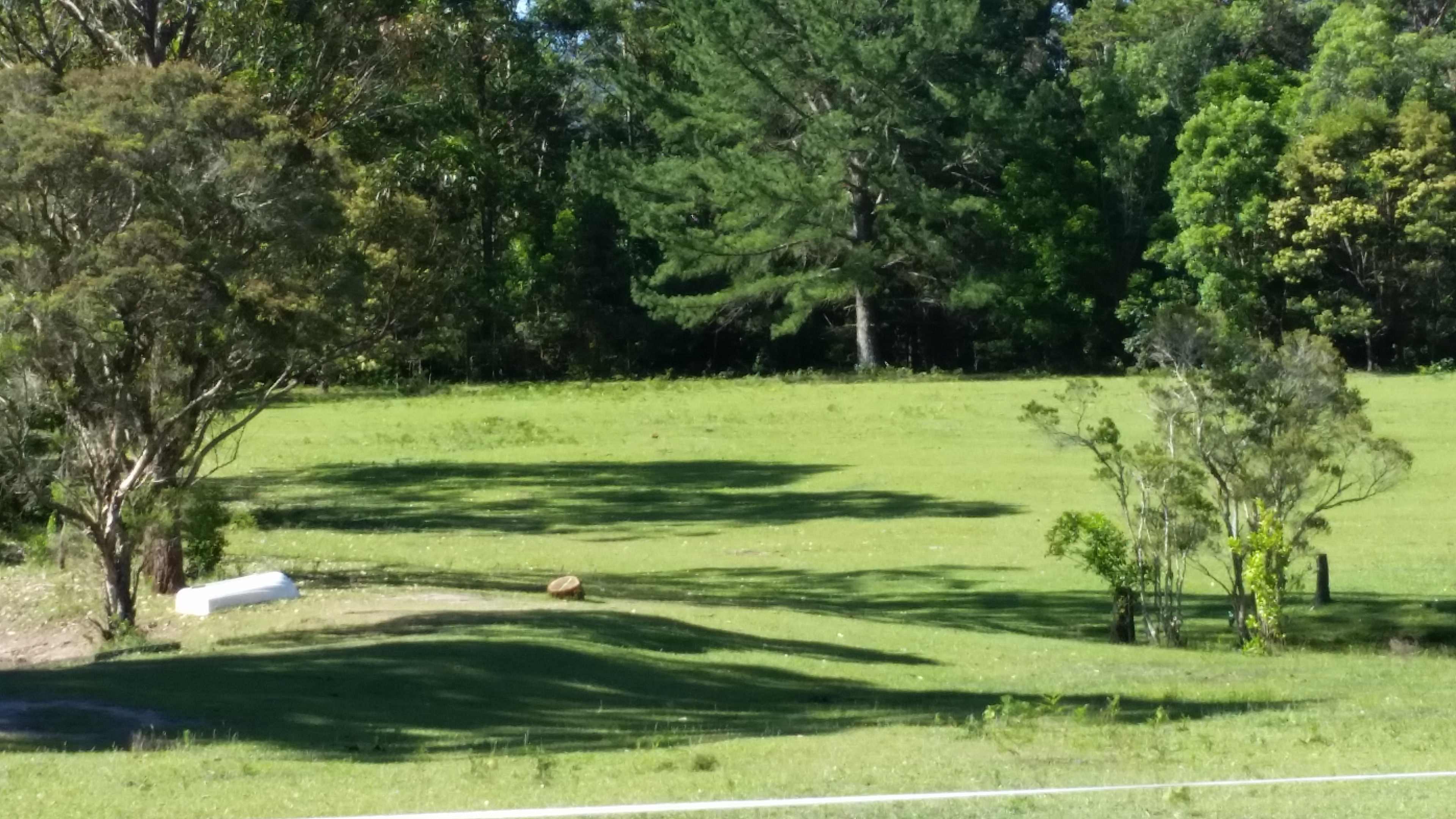 Bunyip's Camp