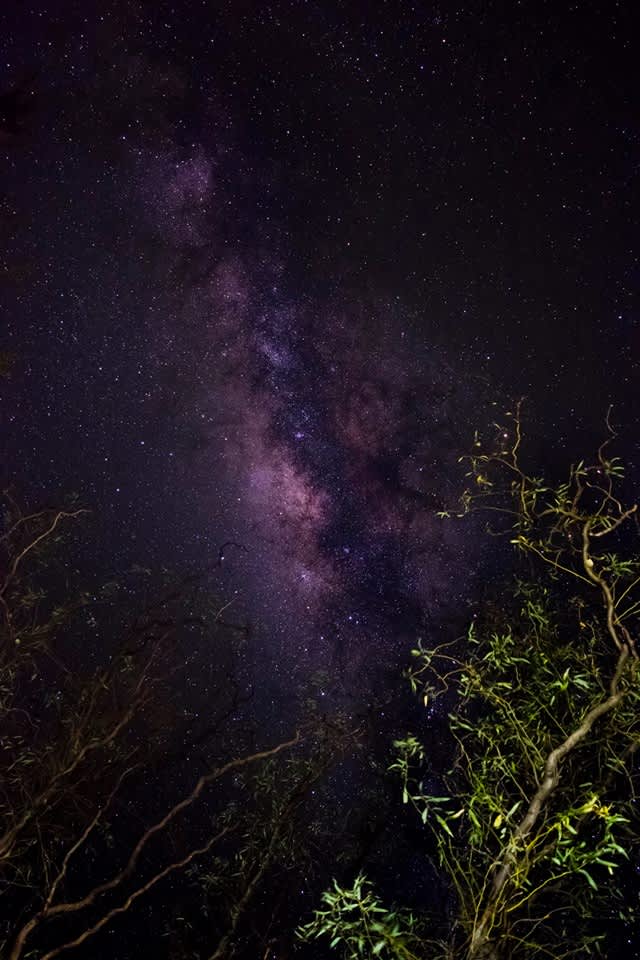 Barkala farmstay