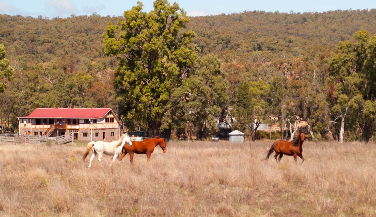 Barkala farmstay