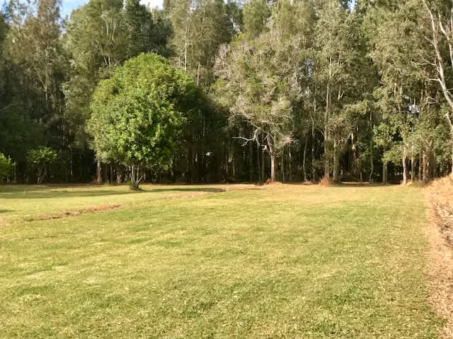 Orchard Site