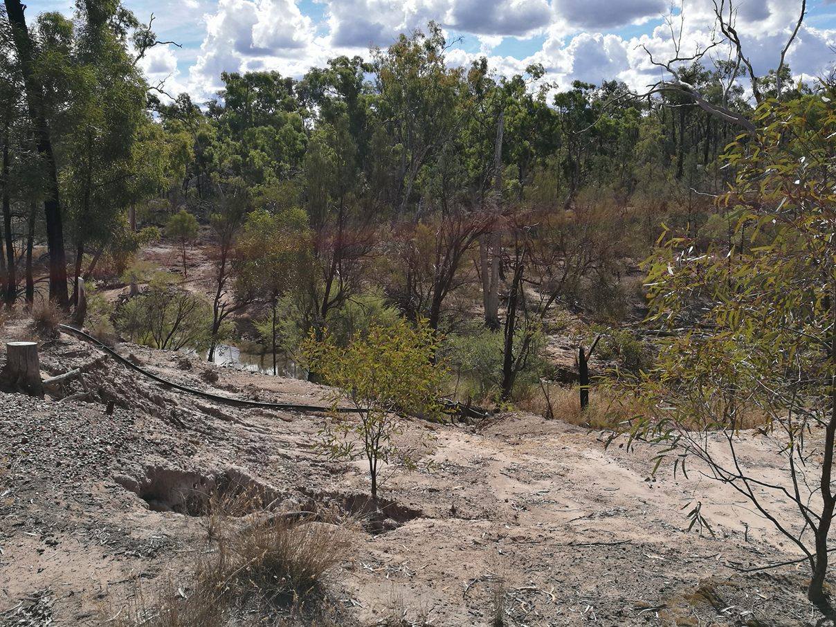 Picture of the site