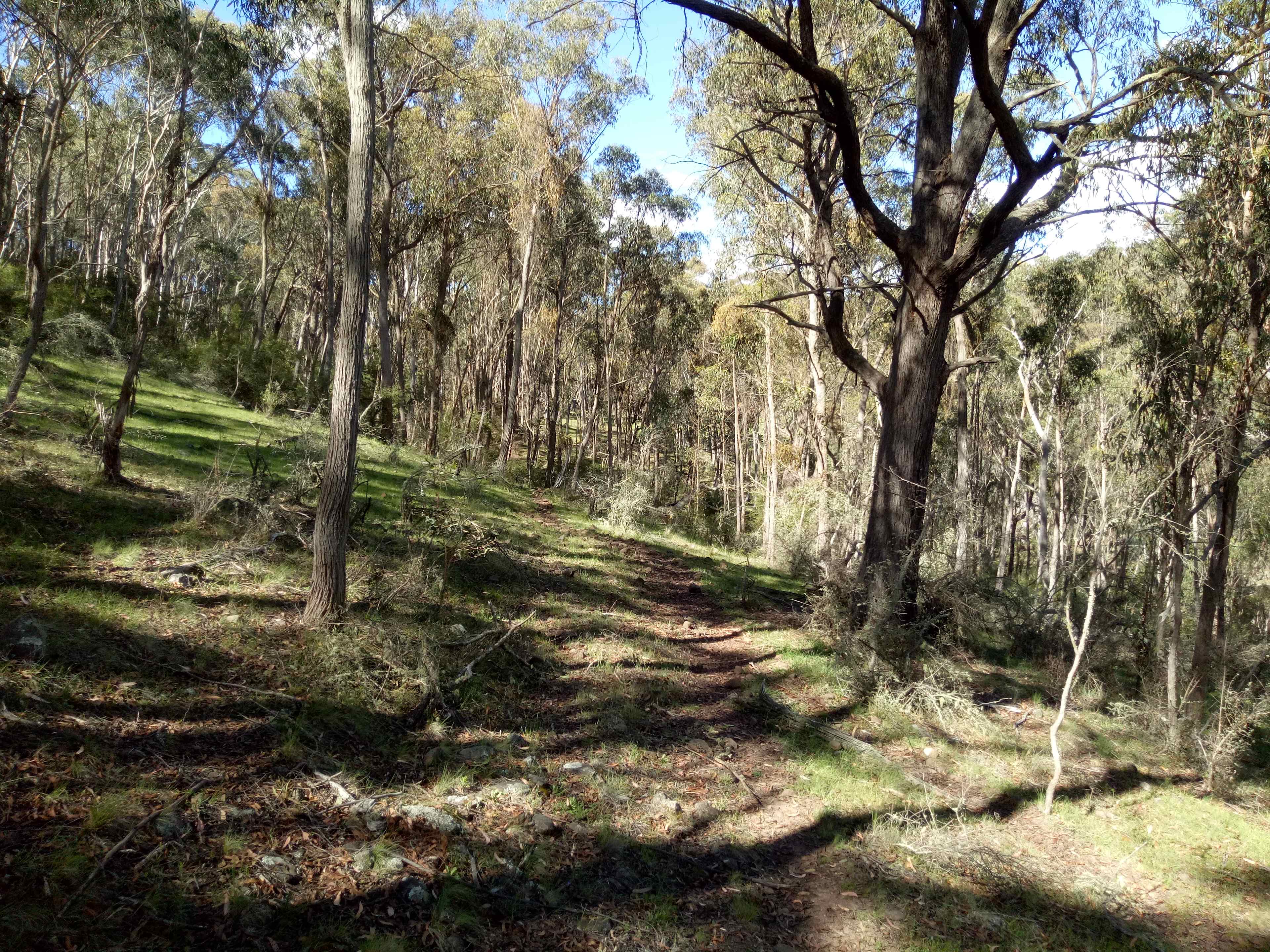 Briarfield