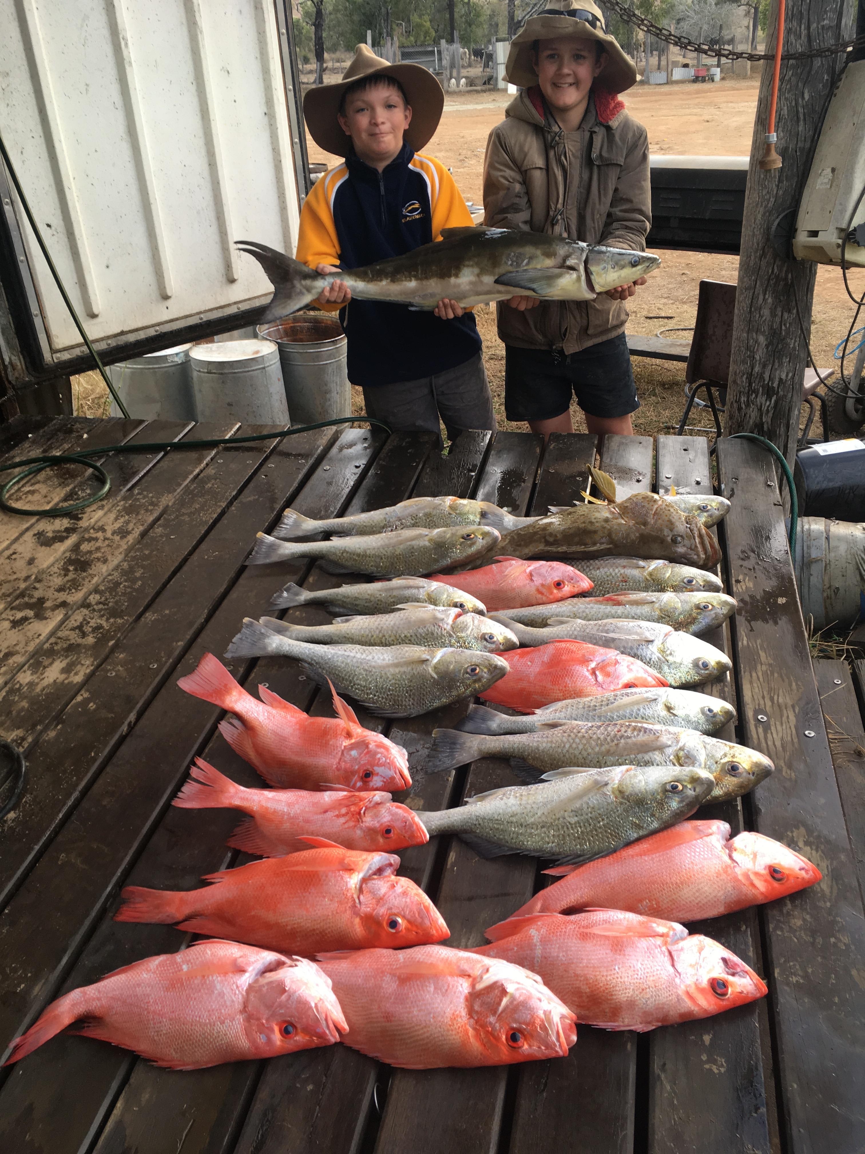 Fish for dinner anyone?!