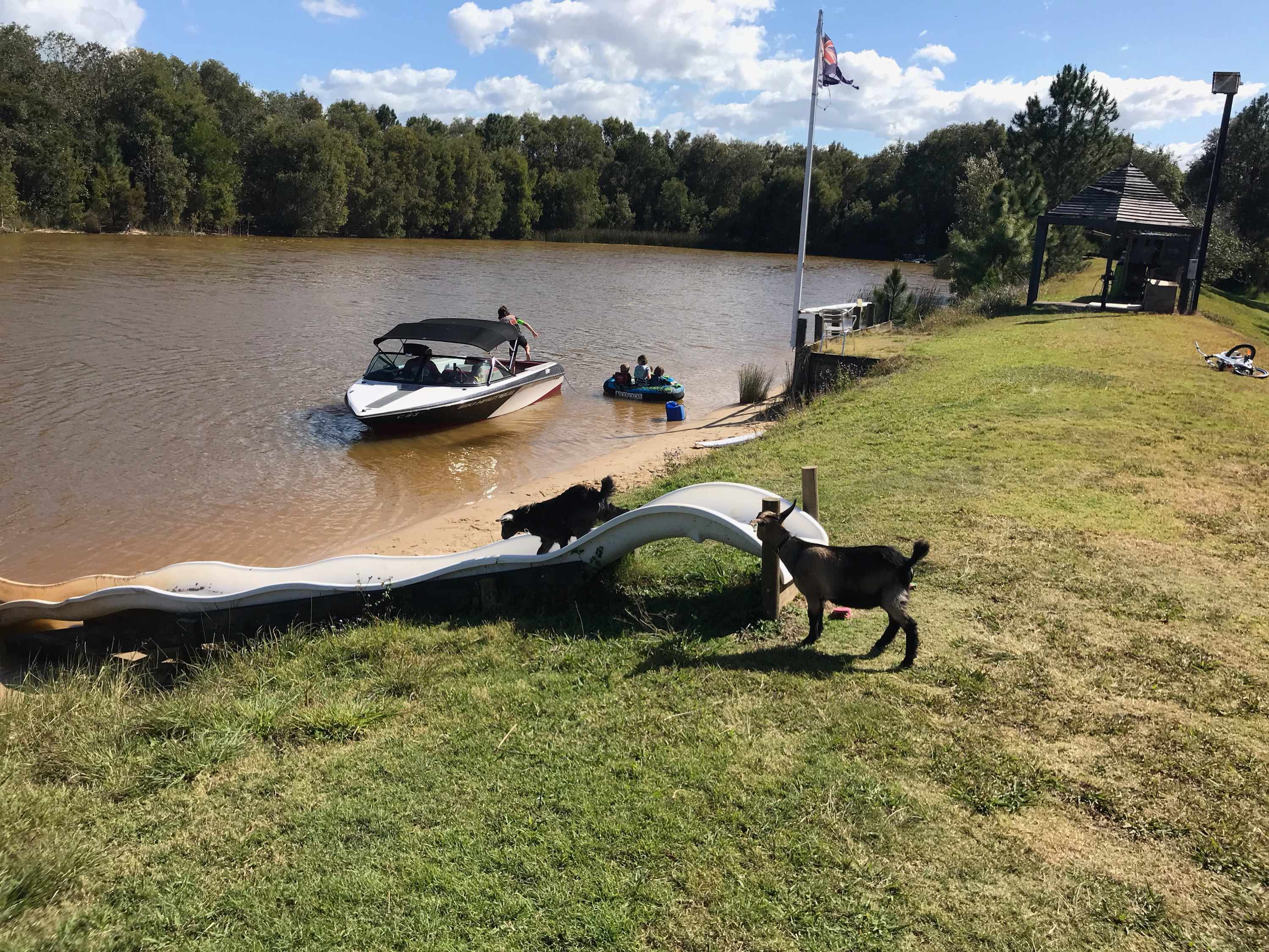 Bushywood at Woodfordskilake