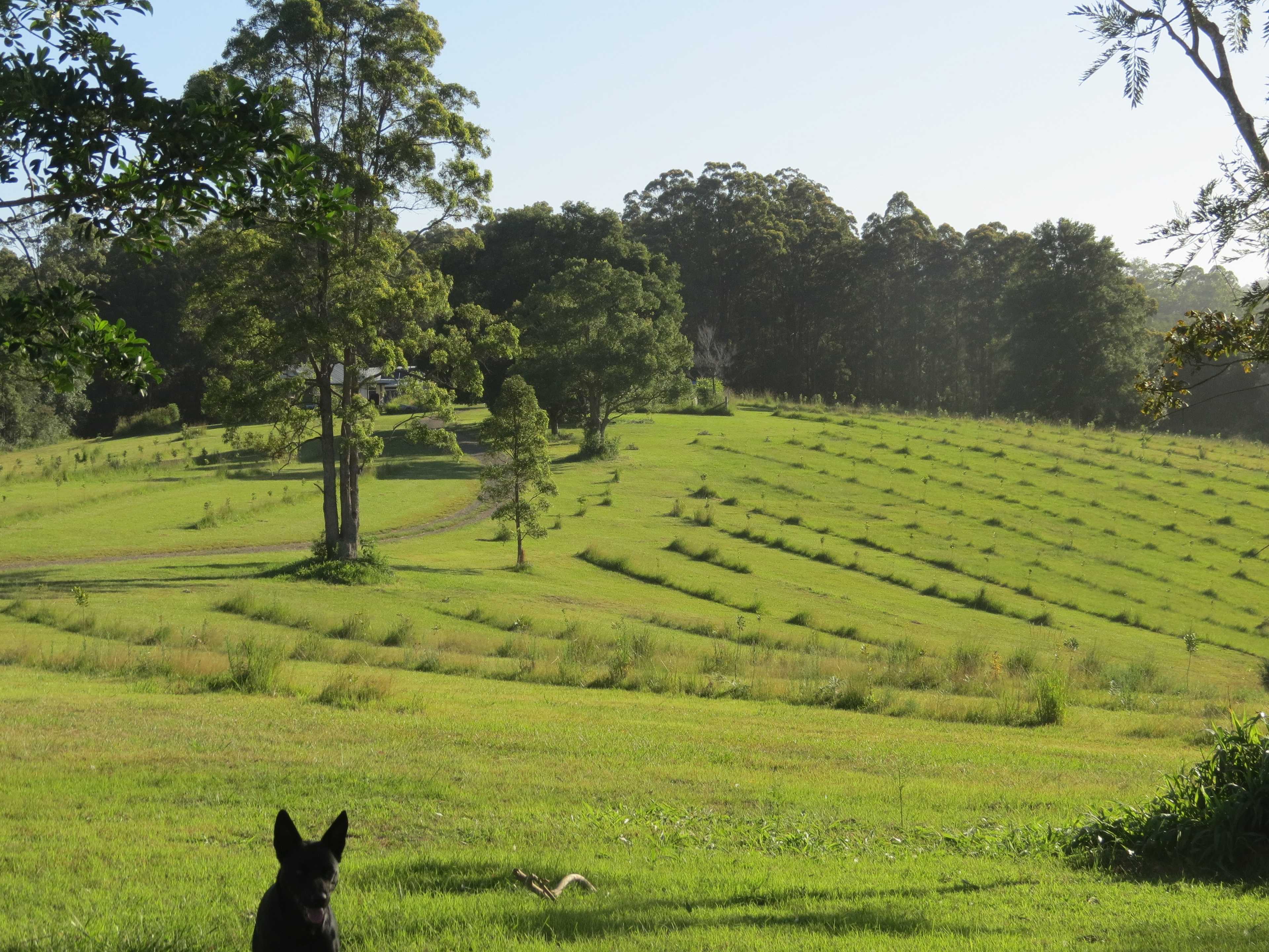 Kooinda Farm