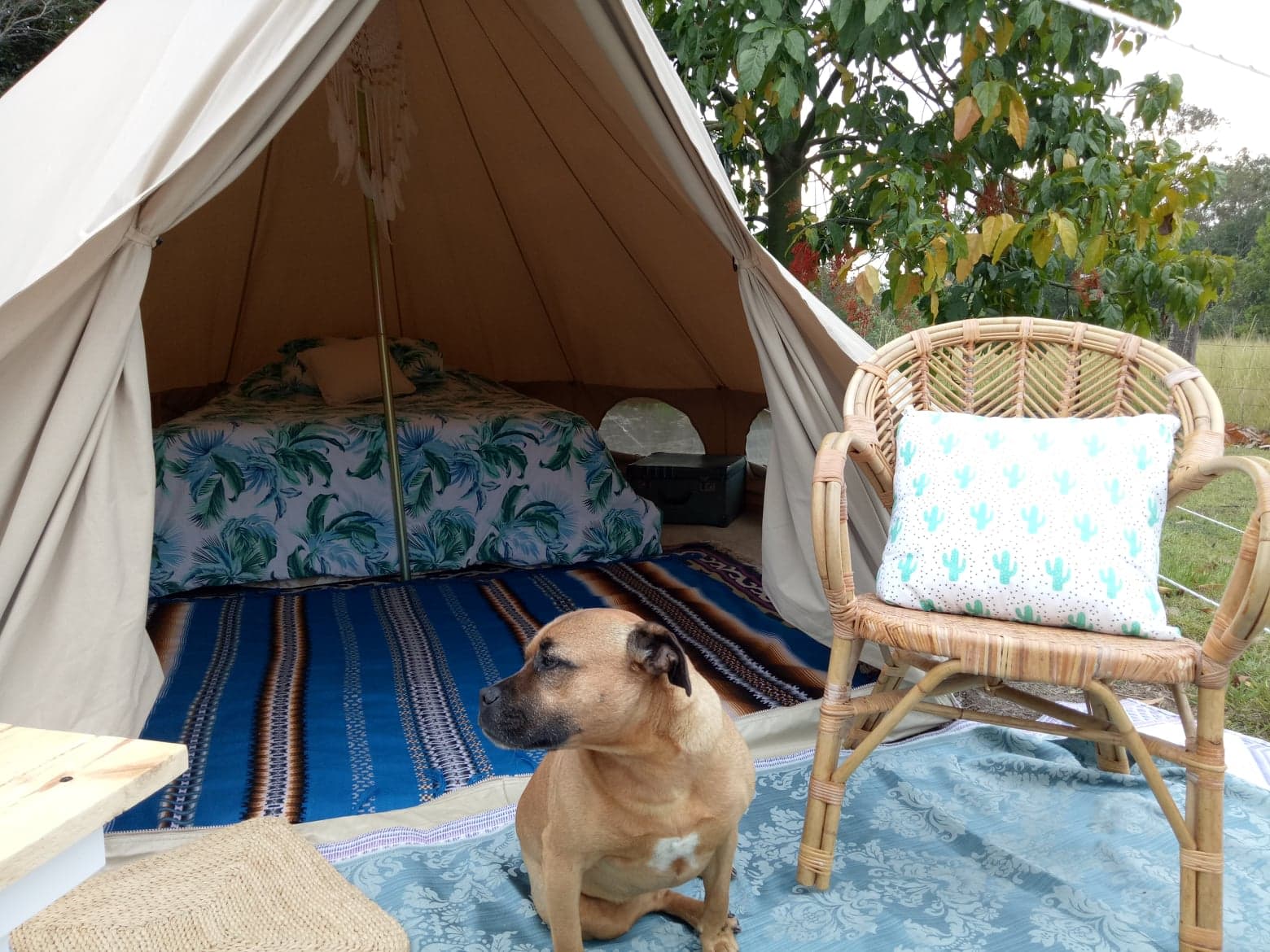 Higher Ground Coastal Bush Retreat & Permaculture